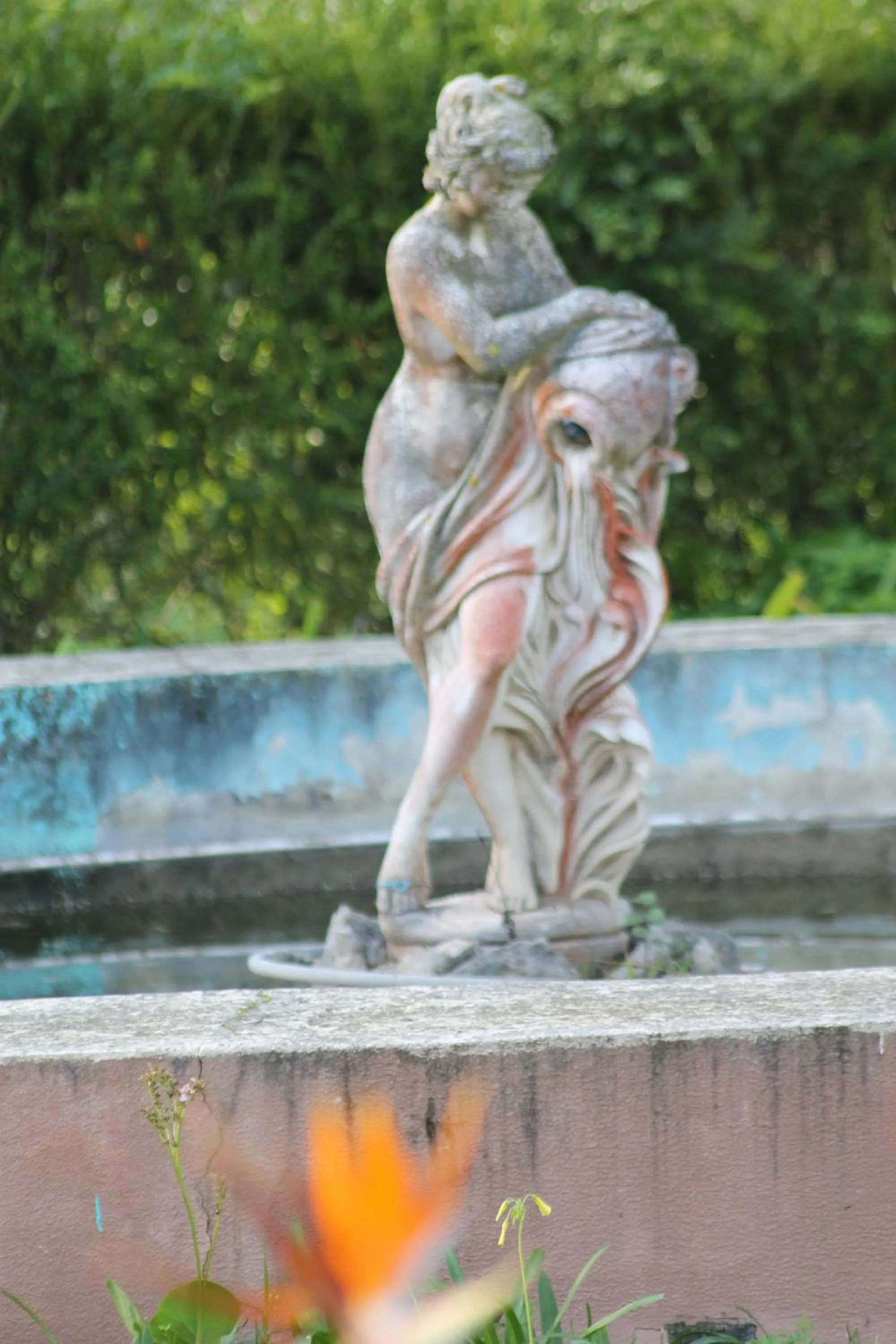 Garden in Villa Aedan Sintra