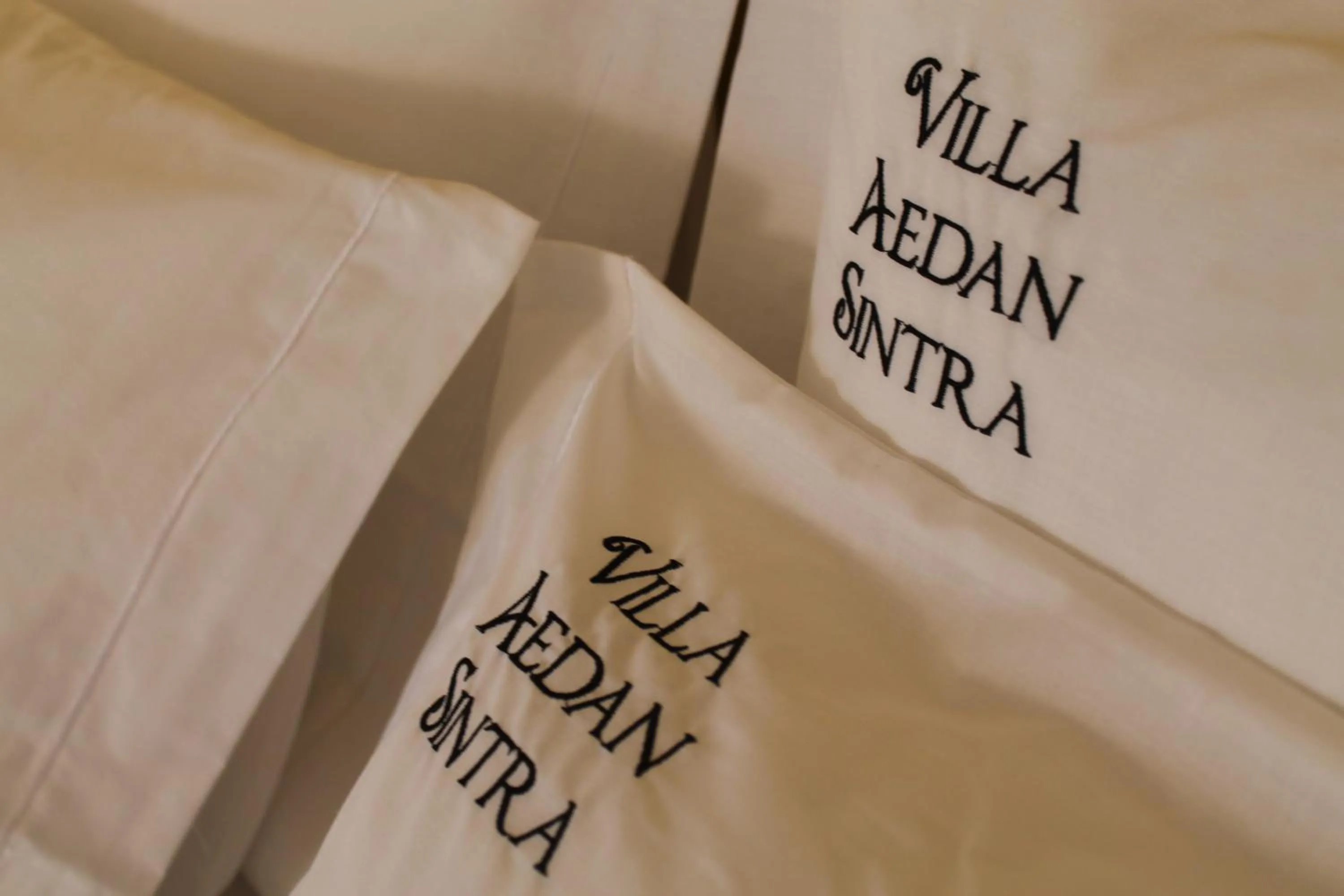 Property logo or sign in Villa Aedan Sintra