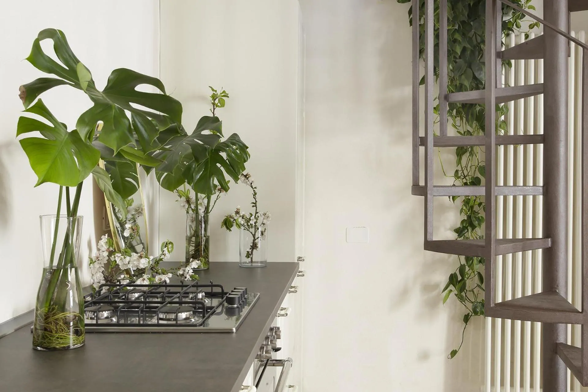 Kitchen or kitchenette in Nicotera Apartment