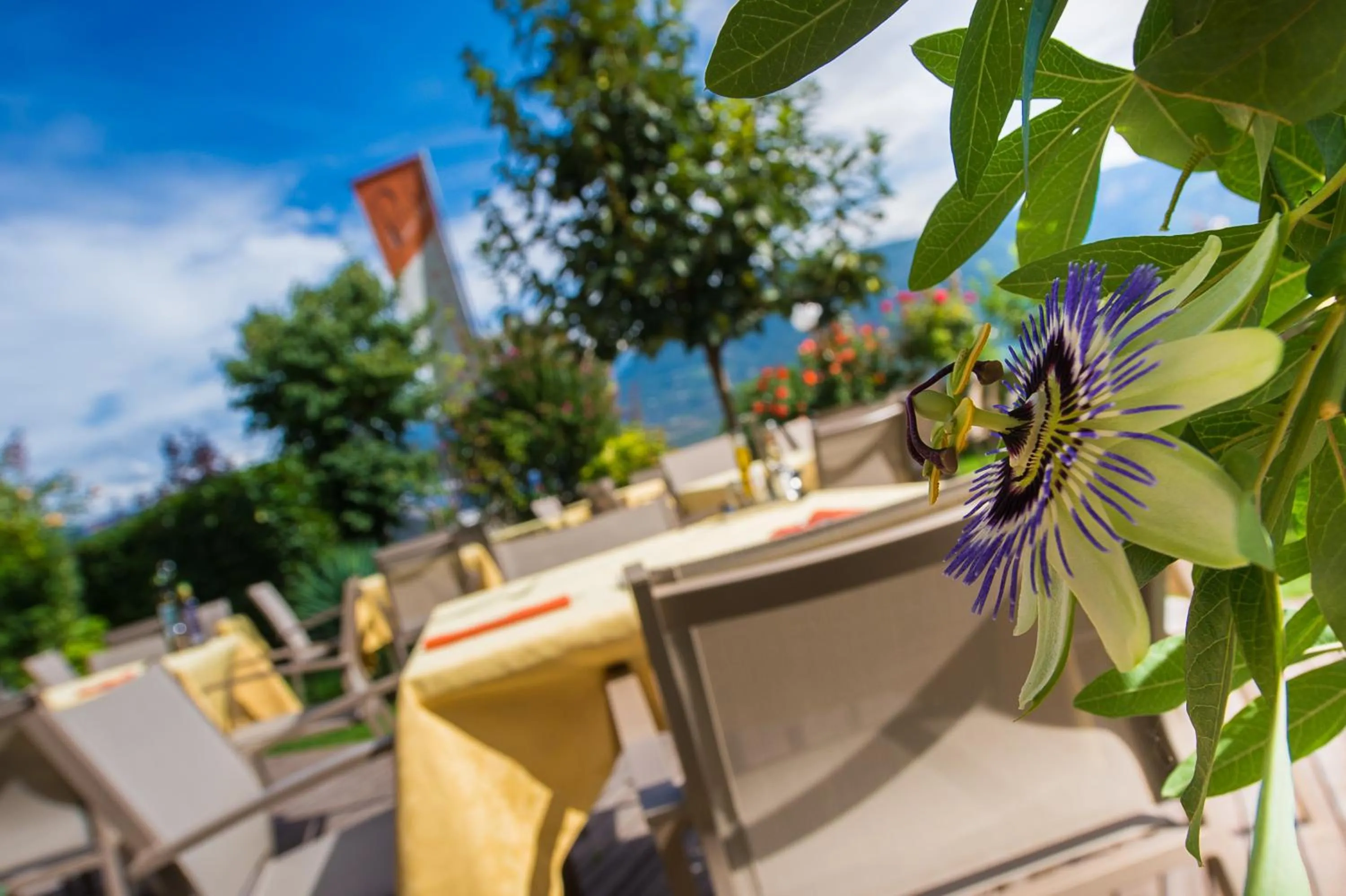 Restaurant/places to eat in Ansitz am Eck by Hotel Pernhof