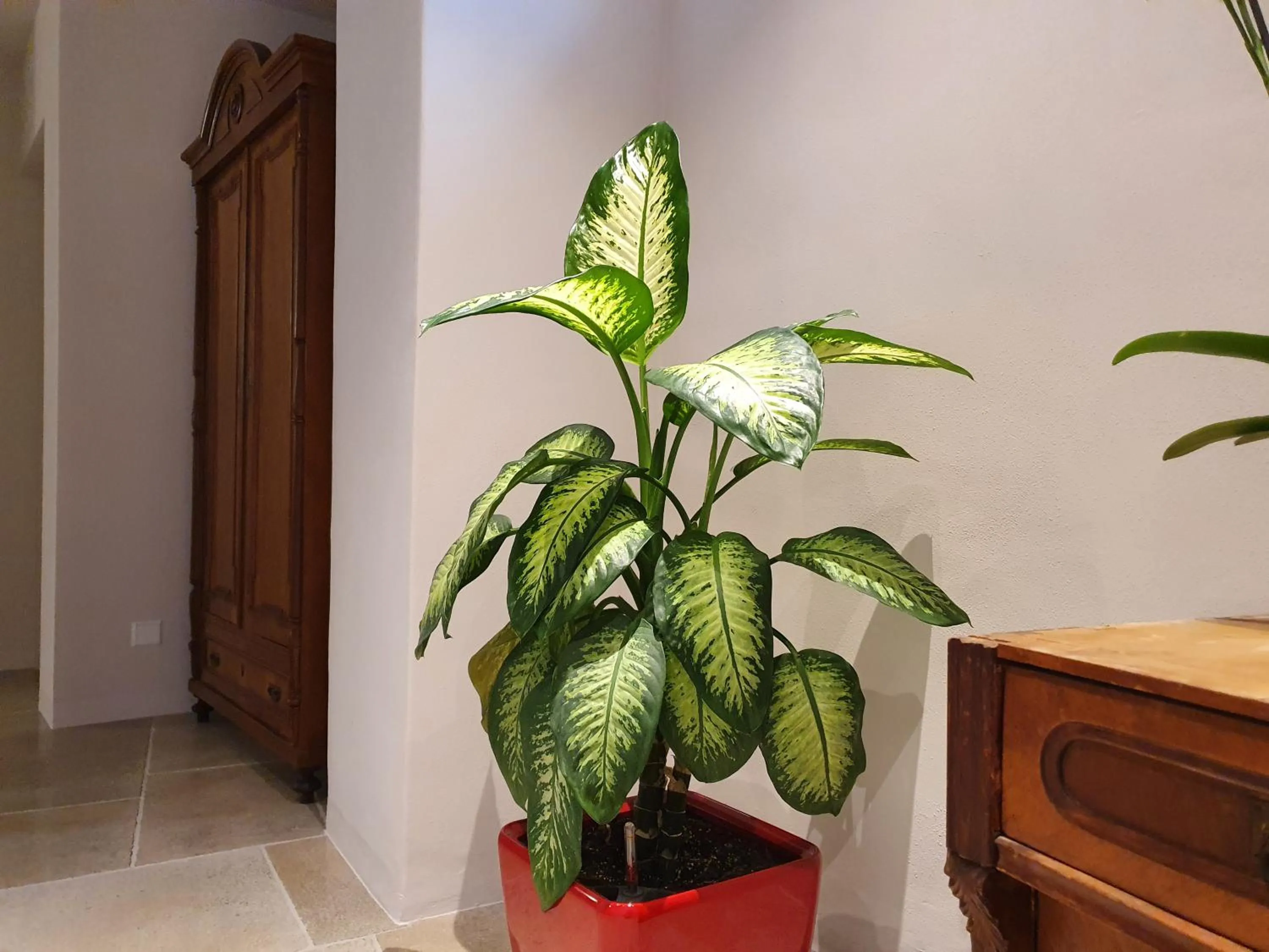 Decorative detail in Ansitz am Eck by Hotel Pernhof