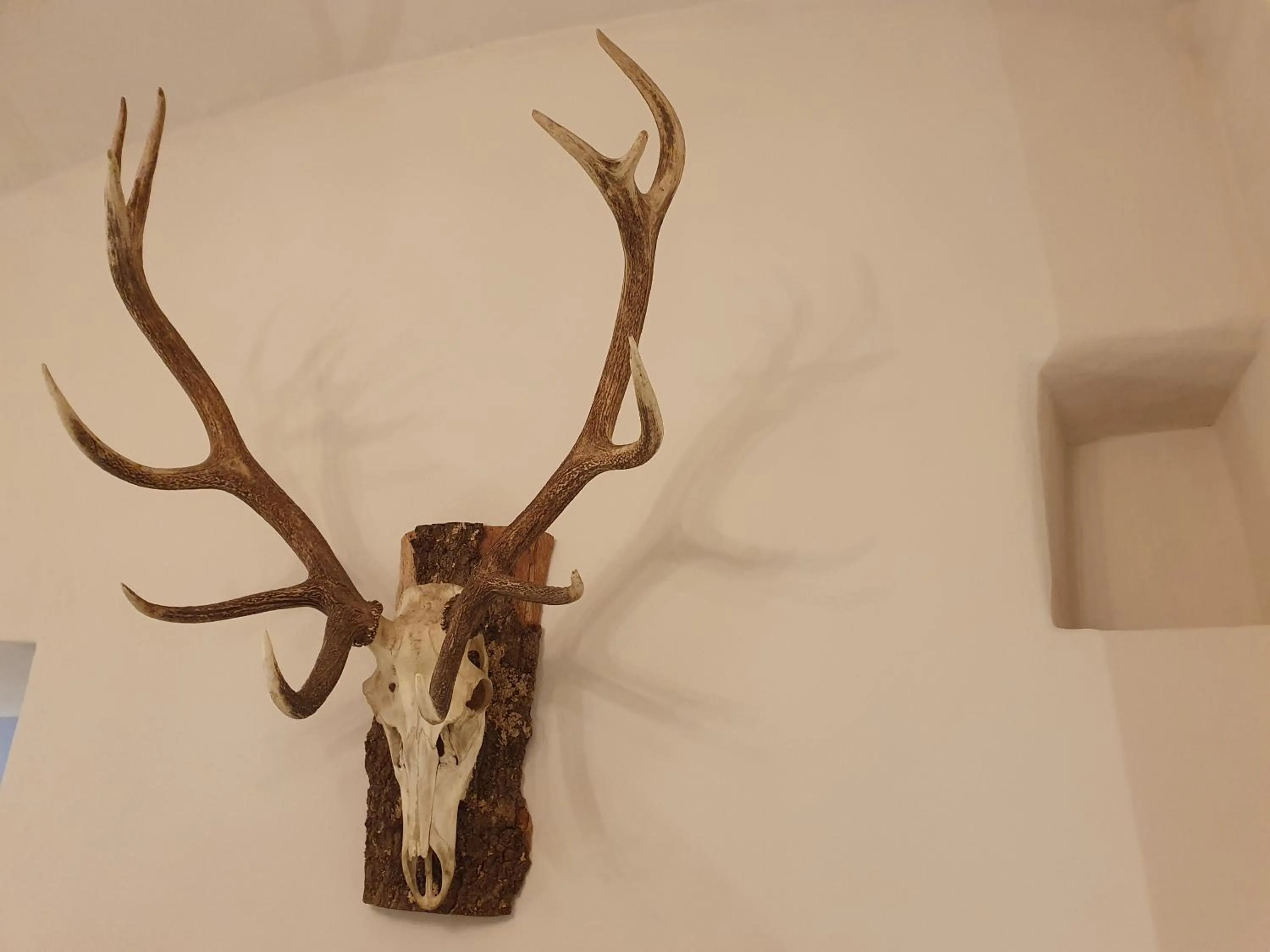 Decorative detail in Ansitz am Eck by Hotel Pernhof