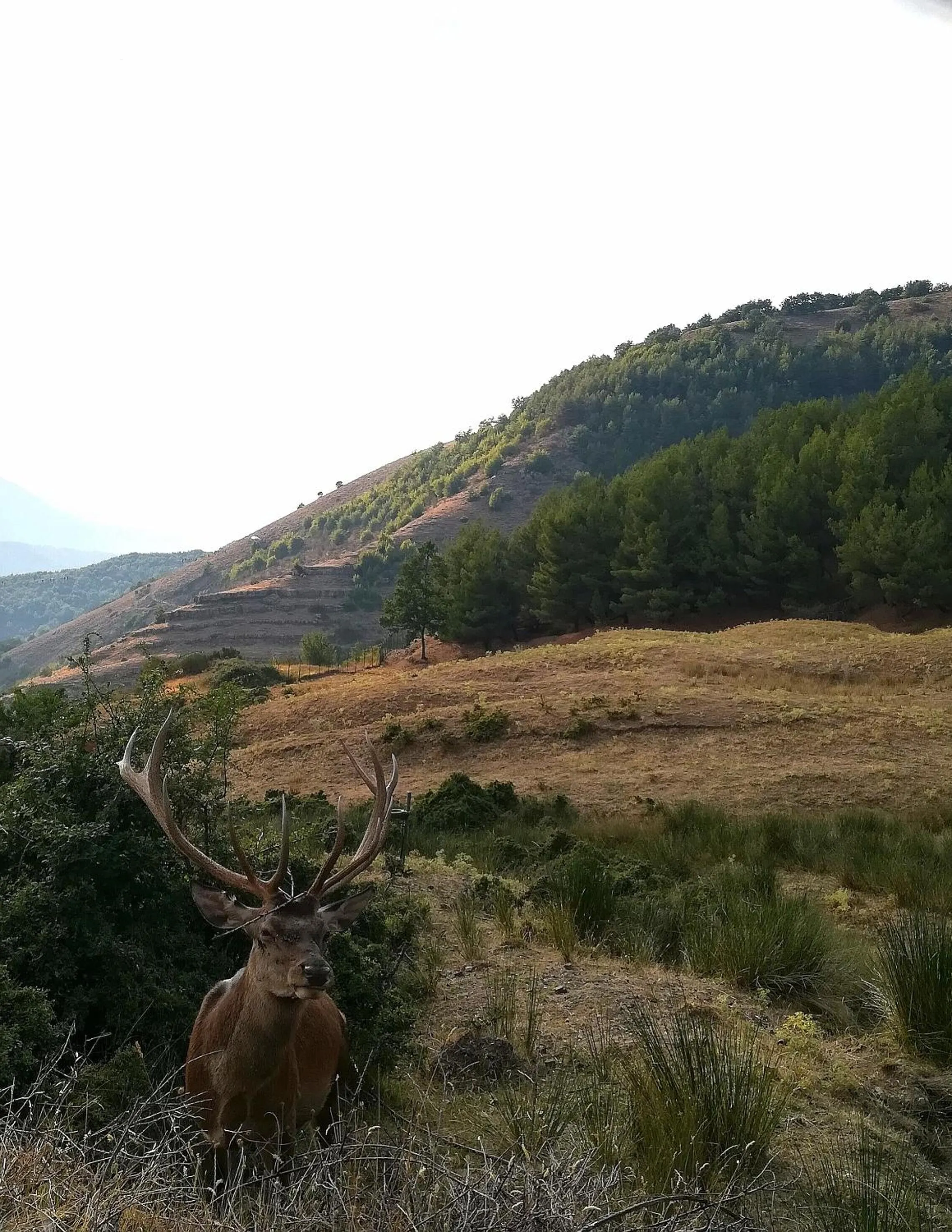 Hiking in B&B Petra Castalda