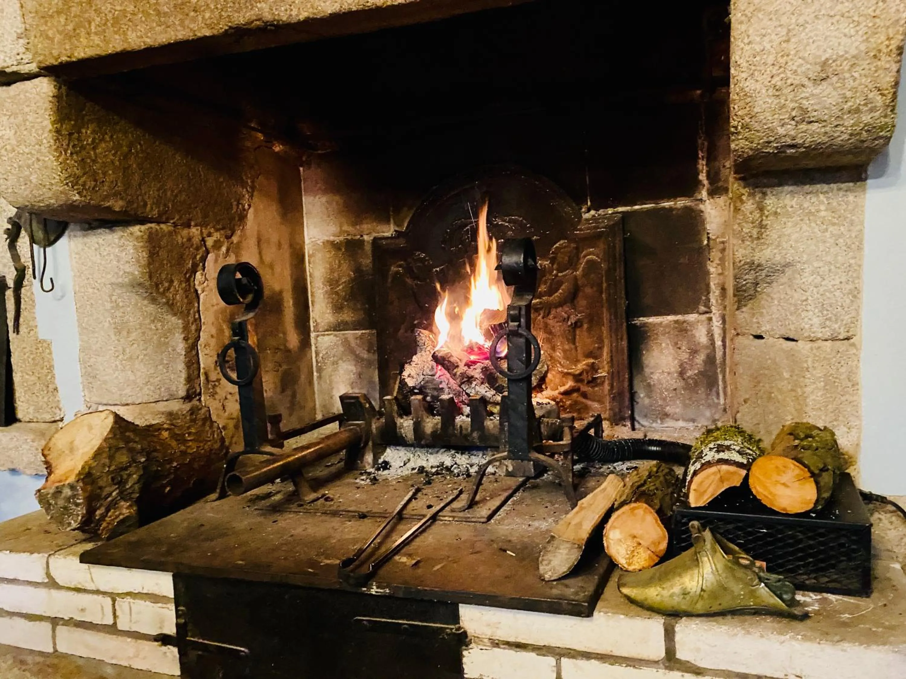 Living room in Château de la Preuille Bed & Breakfast