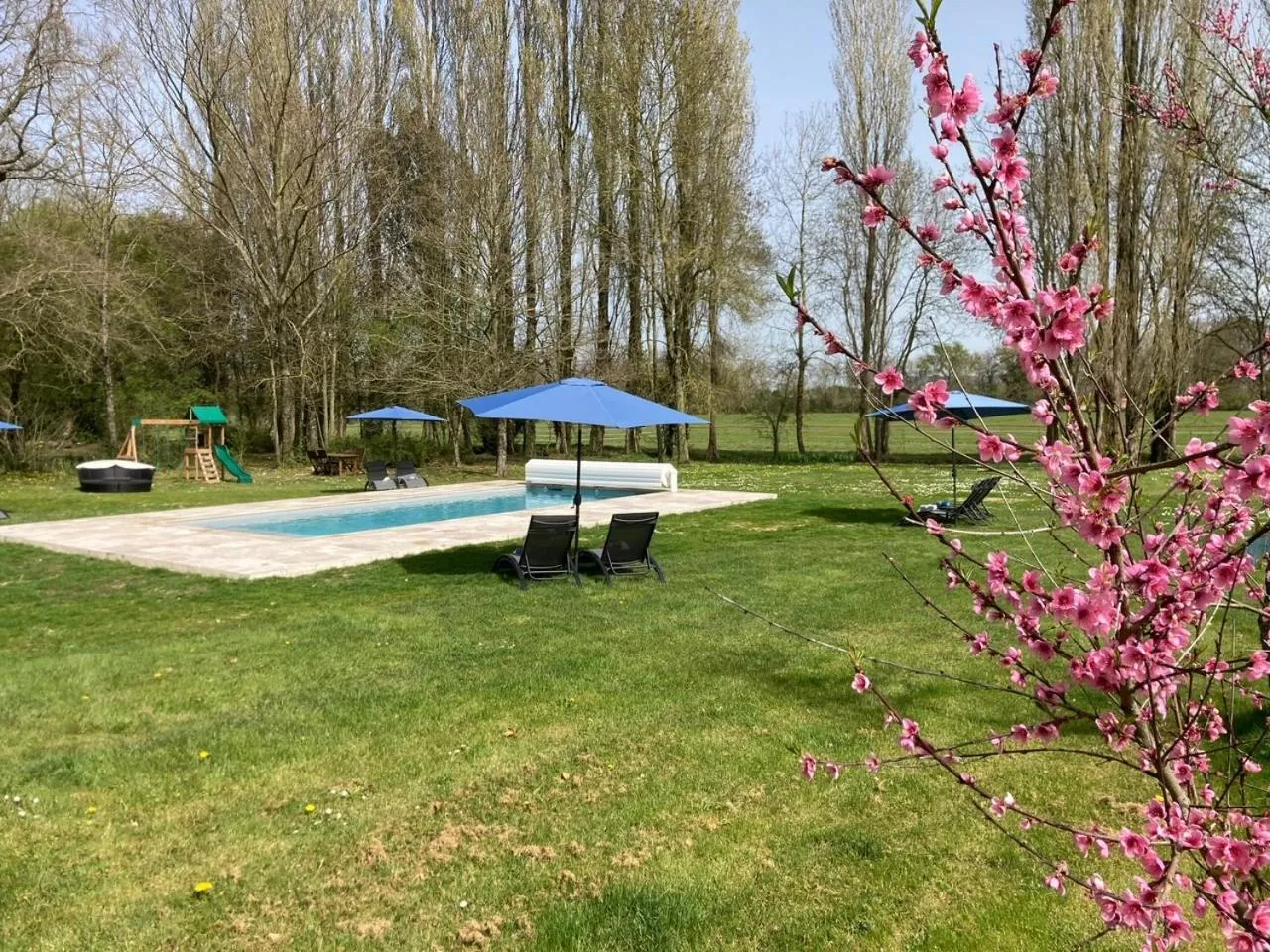 Swimming pool in Château de la Preuille Bed & Breakfast