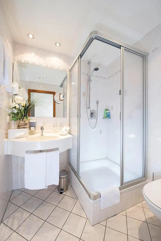 Bathroom in Hotel Schweizer Hof - Superior