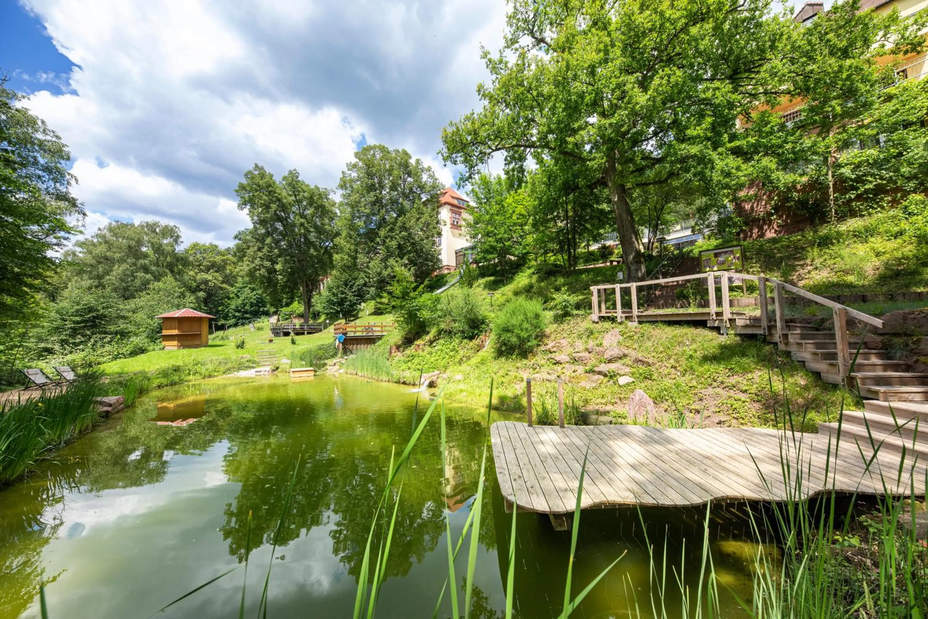 Area and facilities in Hotel Franziskushöhe Lohr
