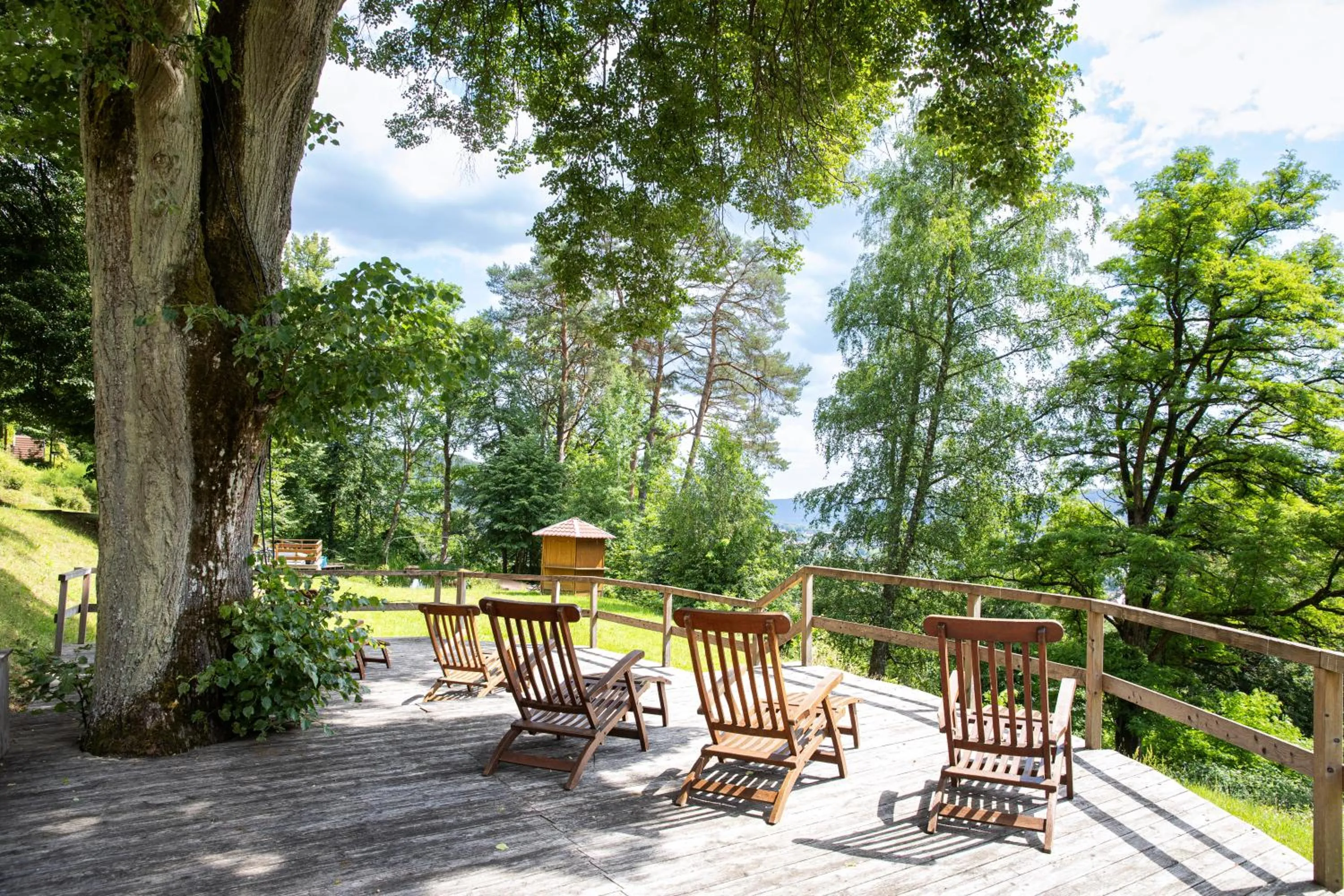 Area and facilities in Hotel Franziskushöhe Lohr
