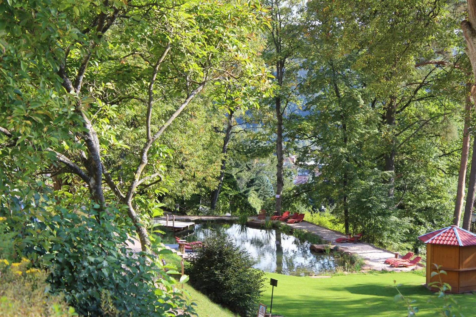 Area and facilities in Hotel Franziskushöhe Lohr