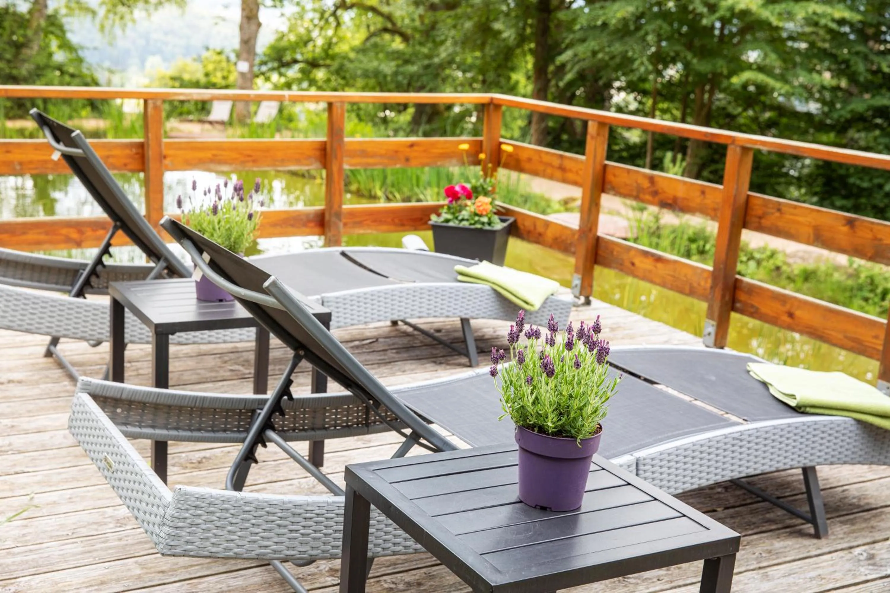 Area and facilities in Hotel Franziskushöhe Lohr