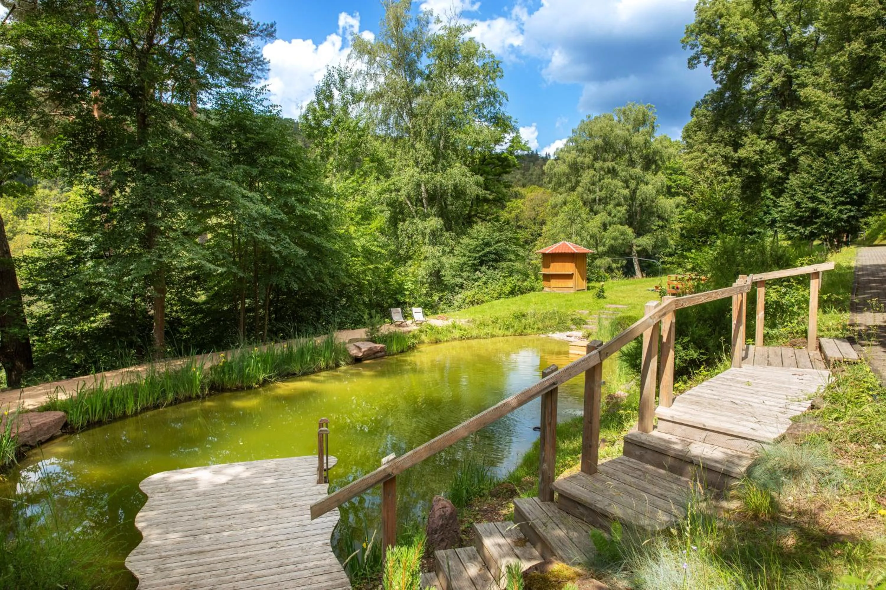 Area and facilities in Hotel Franziskushöhe Lohr