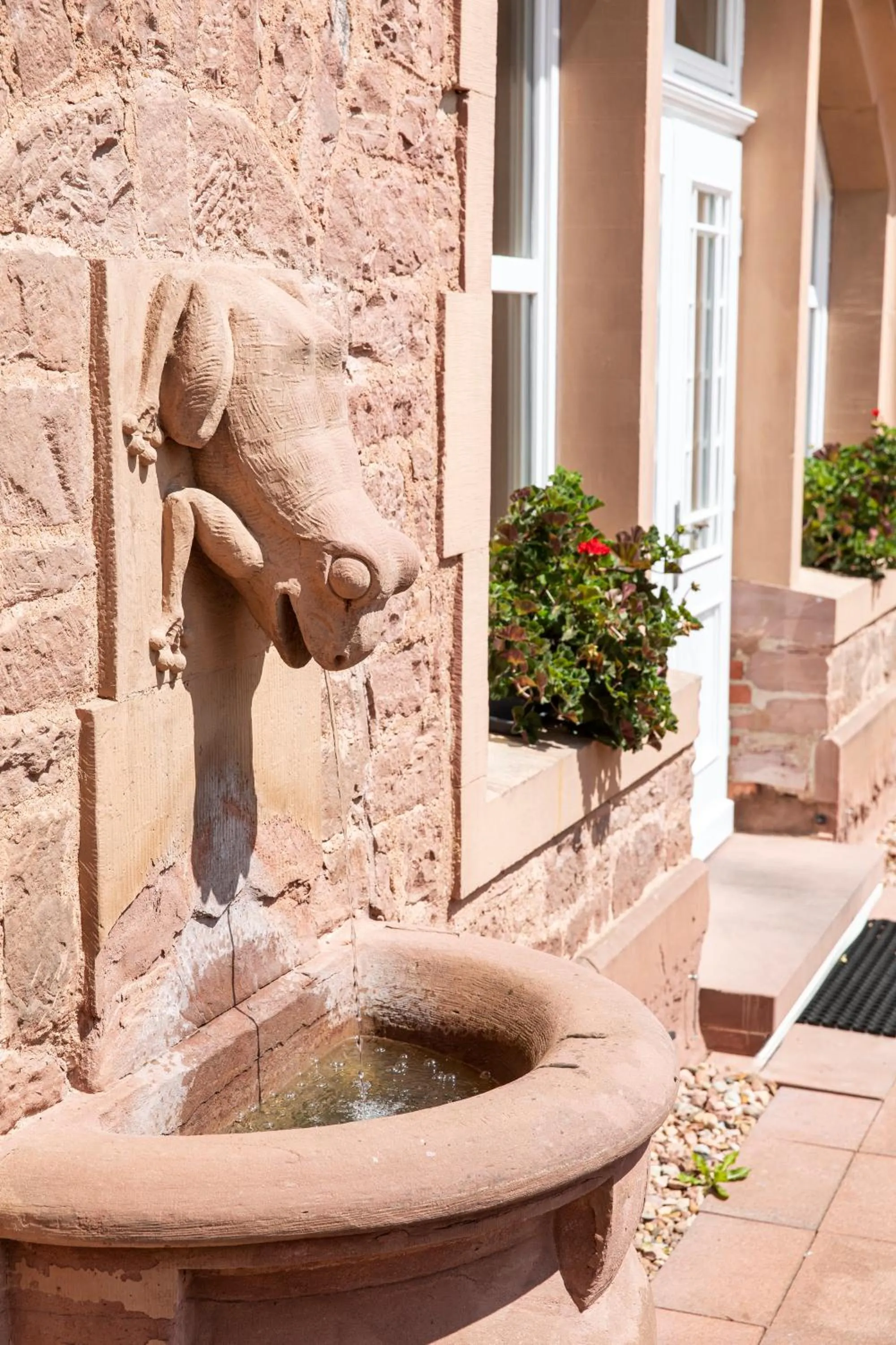 Area and facilities in Hotel Franziskushöhe Lohr