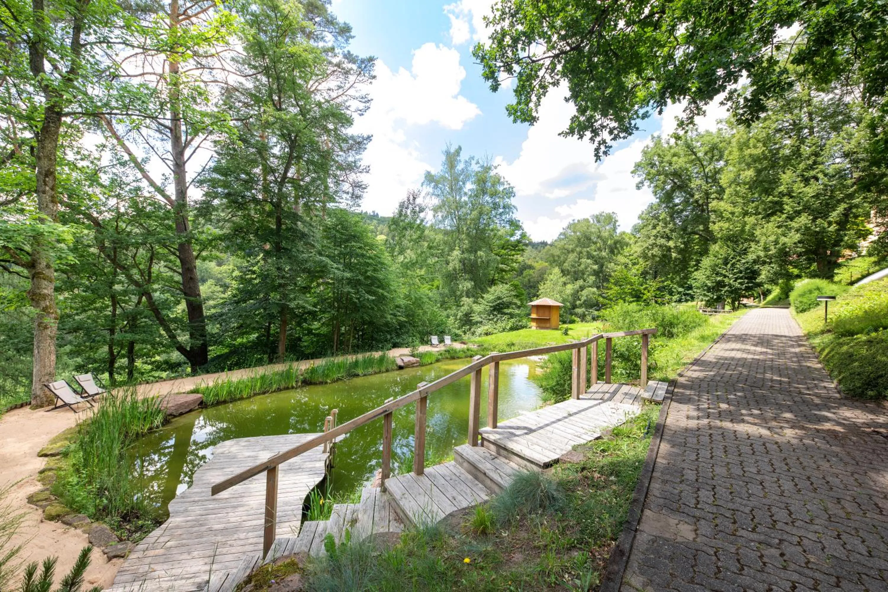 Area and facilities in Hotel Franziskushöhe Lohr