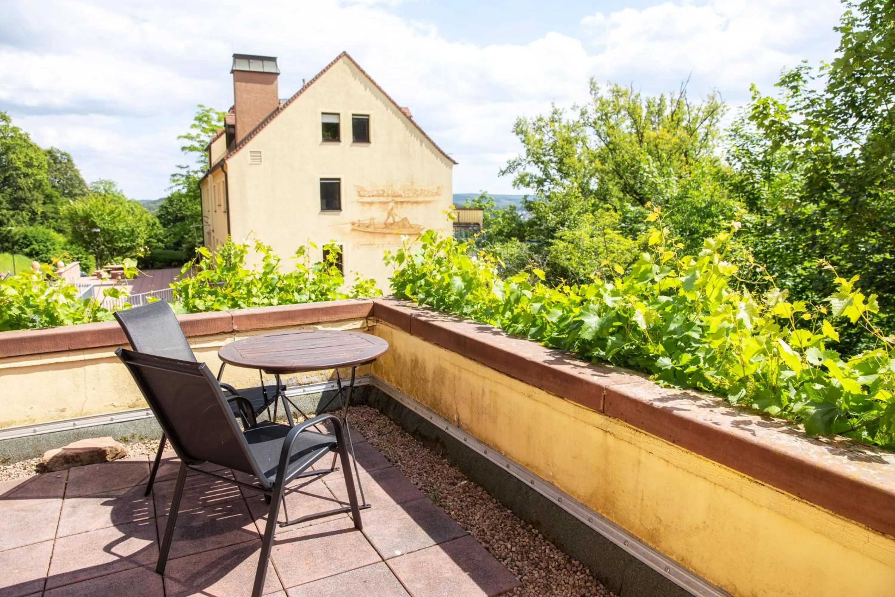View (from property/room) in Hotel Franziskushöhe Lohr