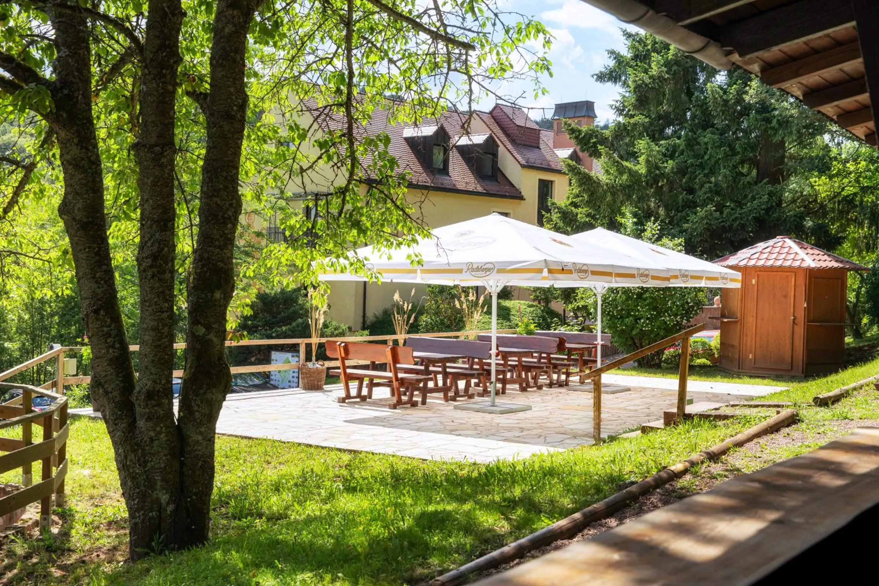 Area and facilities in Hotel Franziskushöhe Lohr