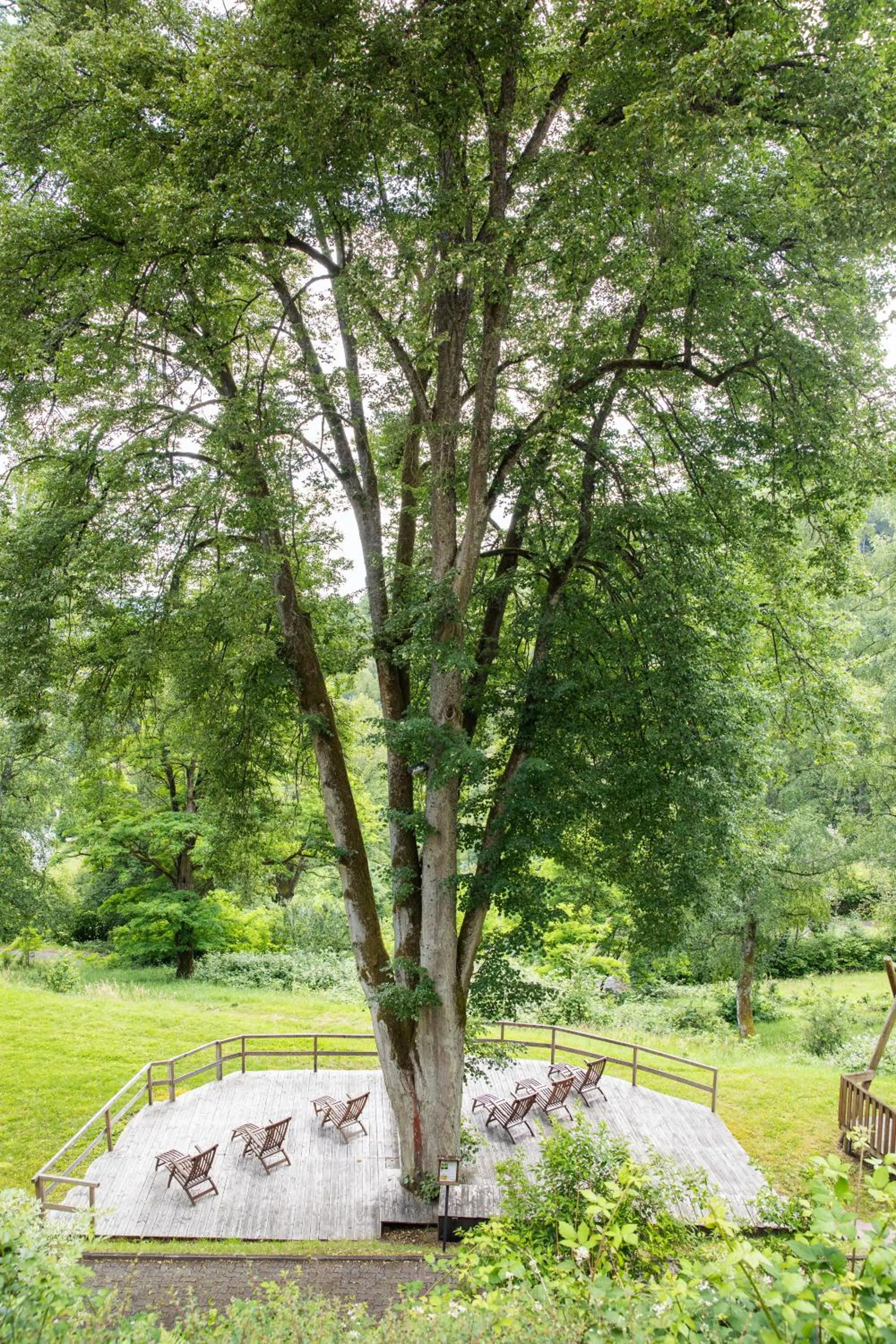 Area and facilities in Hotel Franziskushöhe Lohr