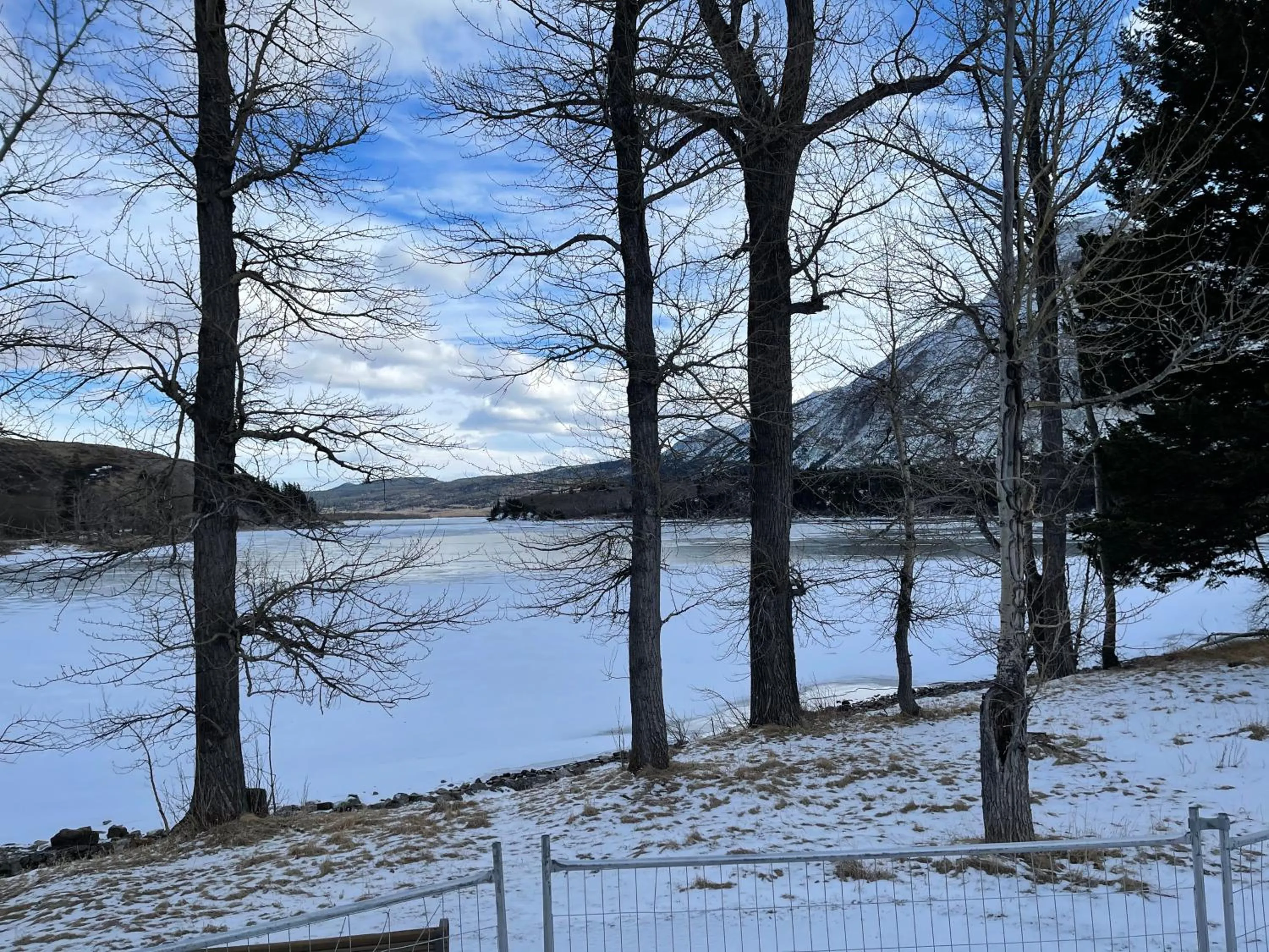 Natural landscape in Kilmorey Lodge
