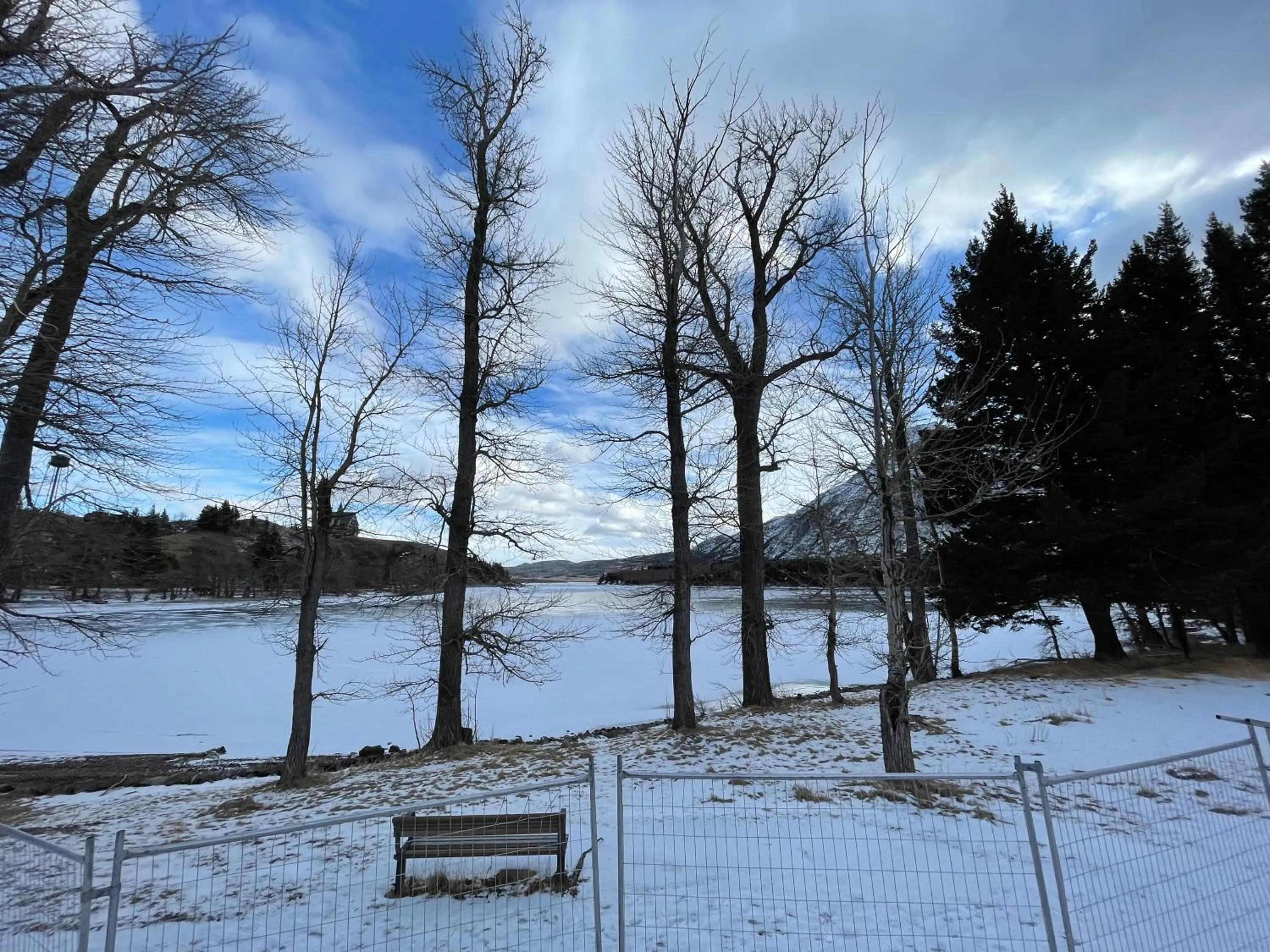 Natural landscape in Kilmorey Lodge