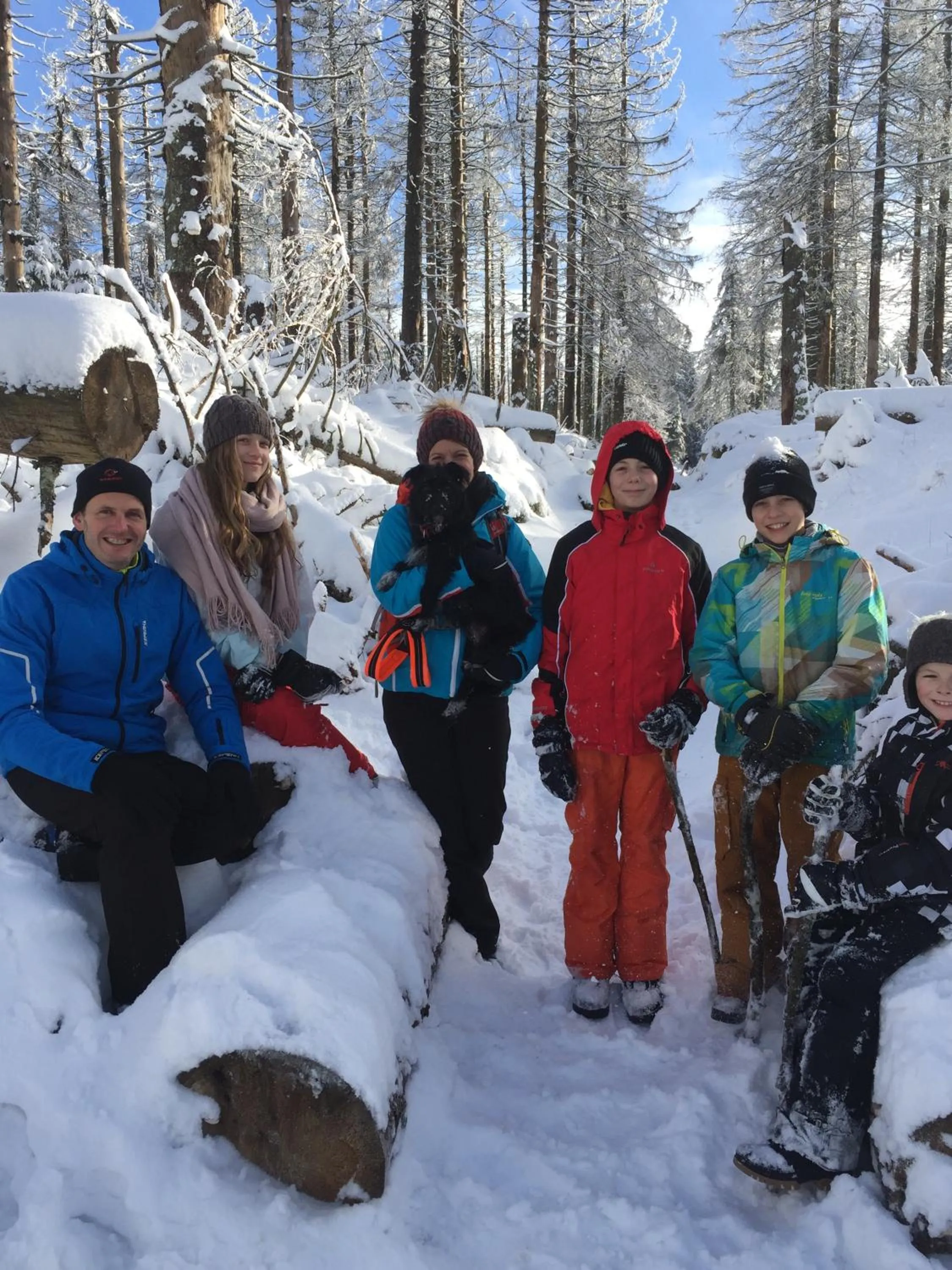 People, Winter in Harzidyll