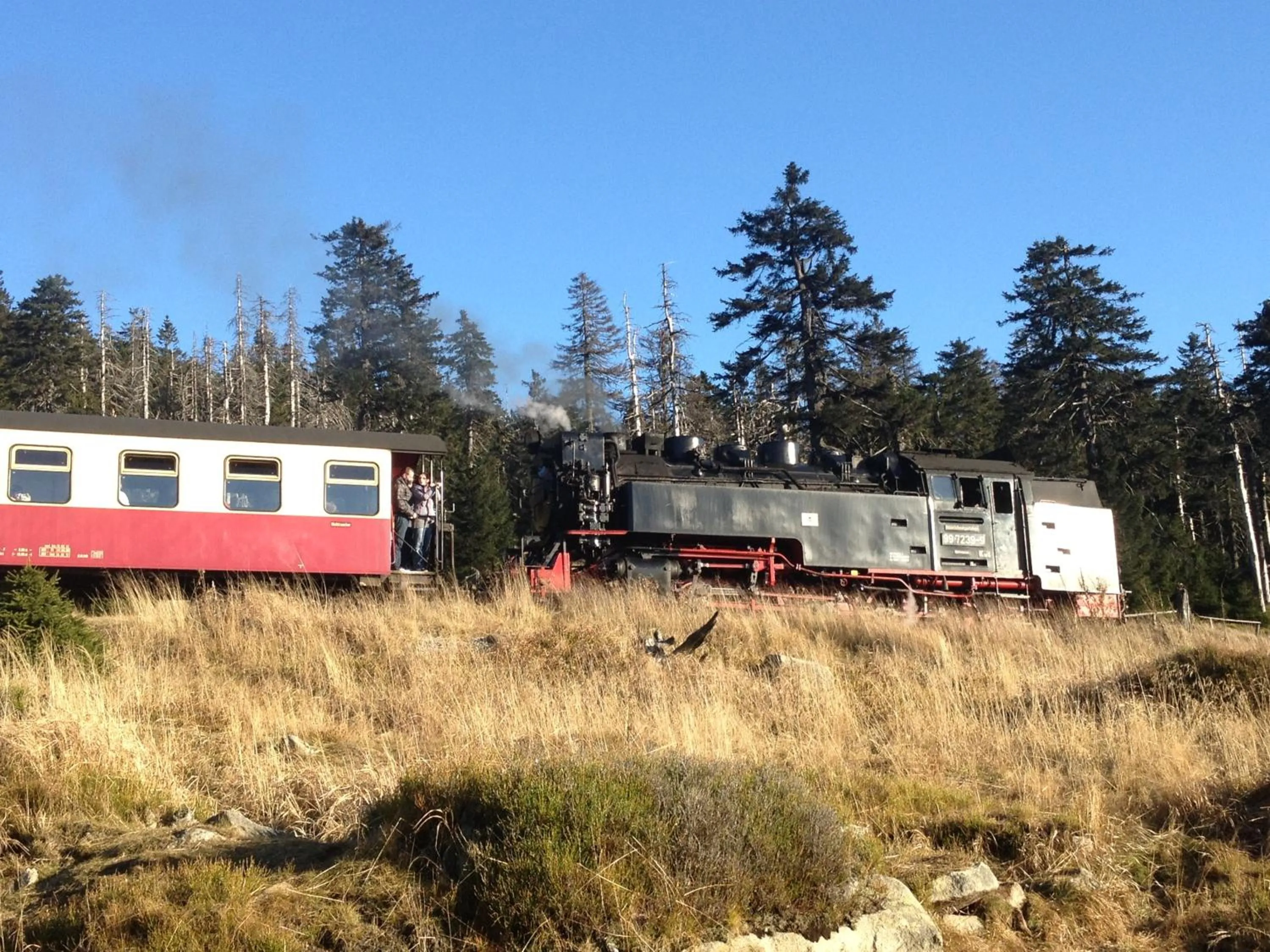 Area and facilities, Property Building in Harzidyll