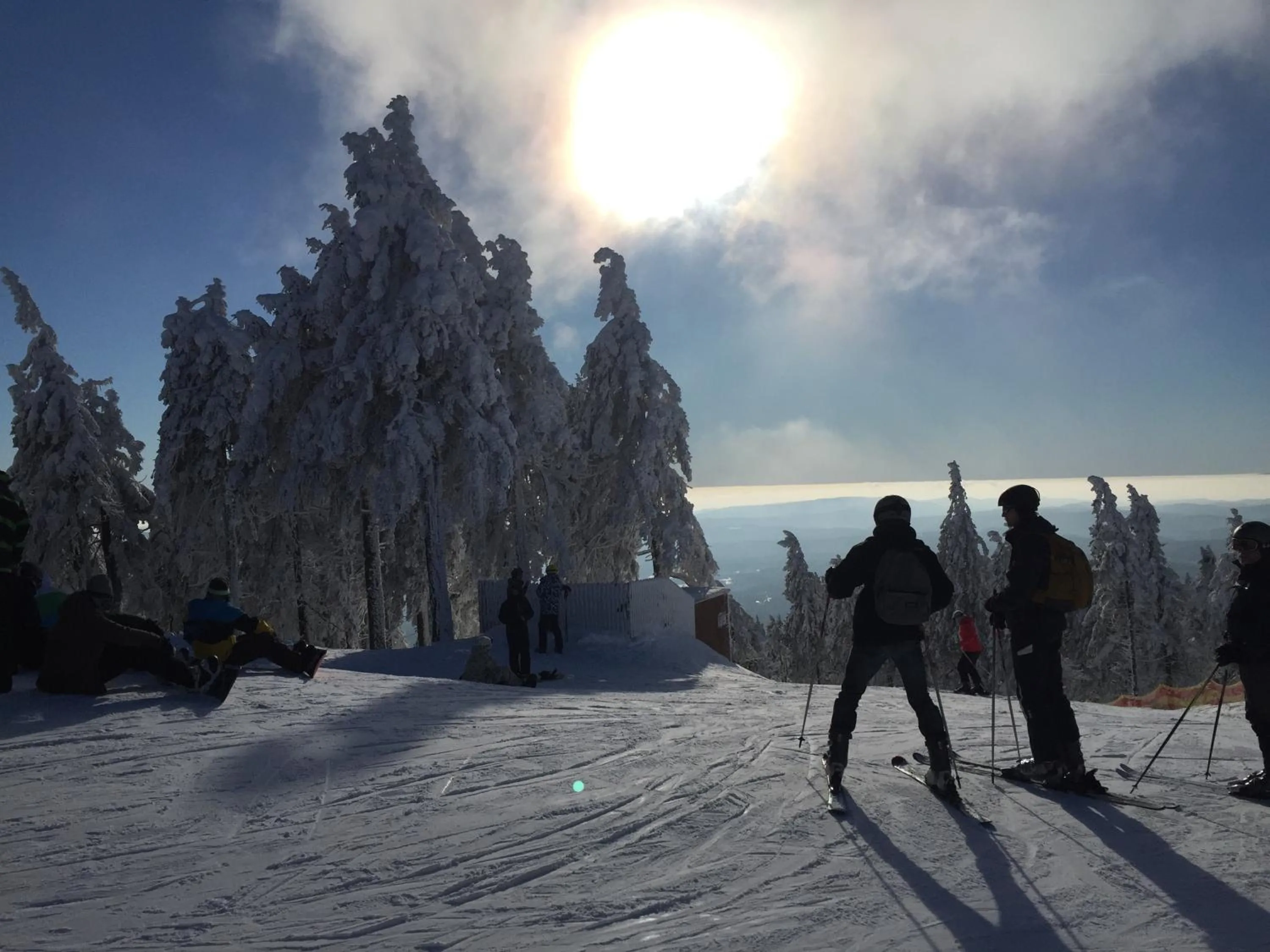 People, Winter in Harzidyll