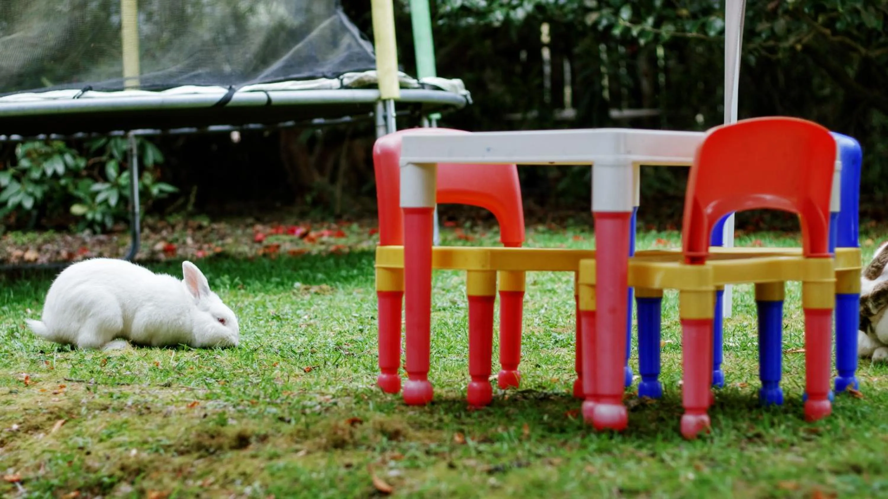 Off site in Casona Alemana