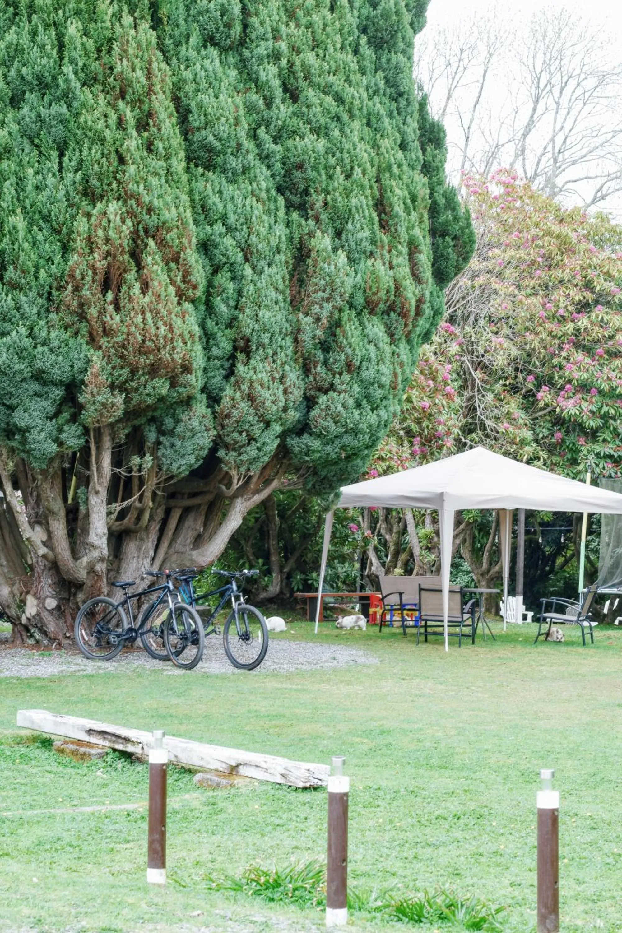 Natural landscape in Casona Alemana