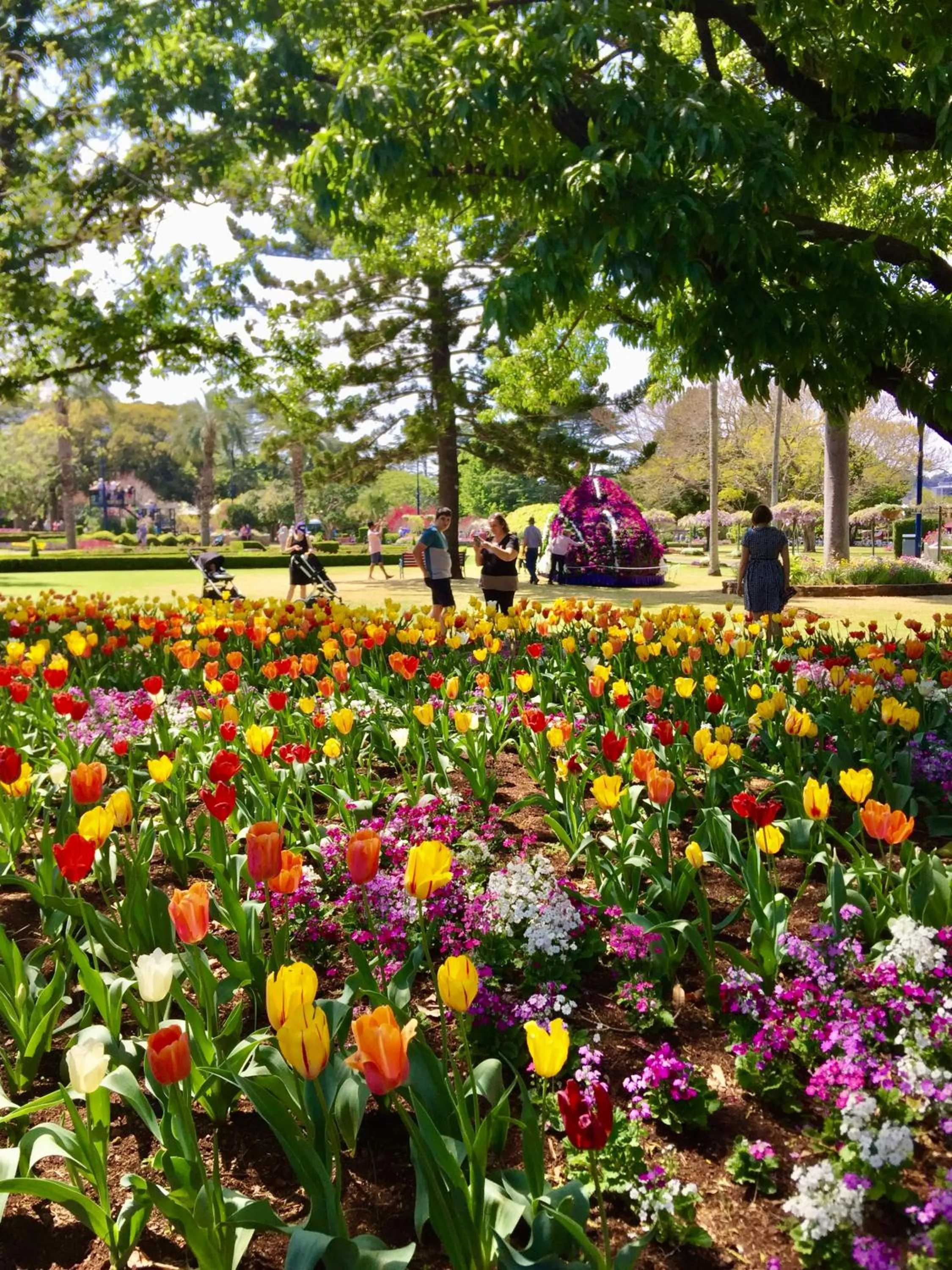 Nearby landmark in Oaks Toowoomba Hotel