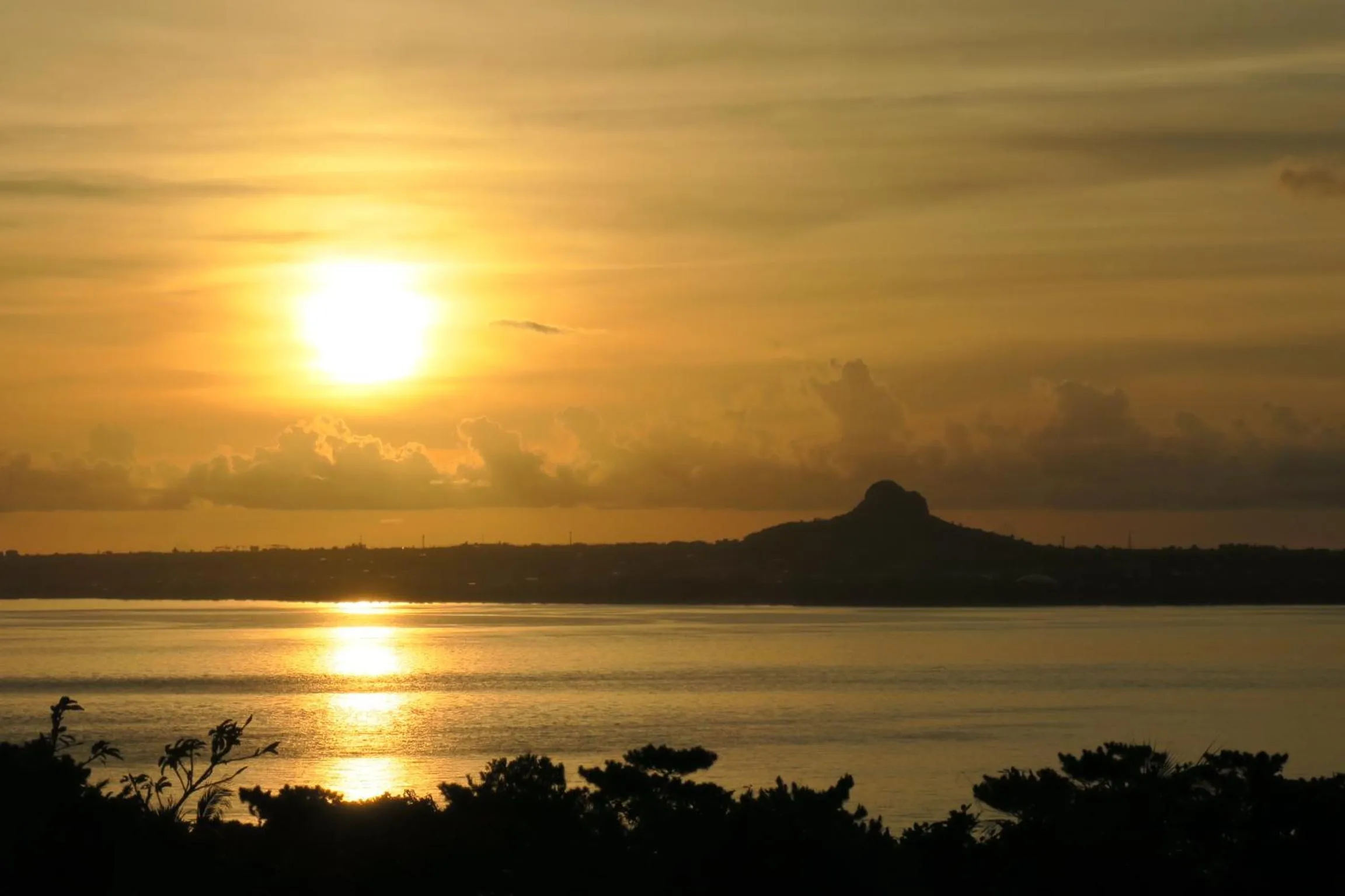 Natural landscape in Roconia Terrace