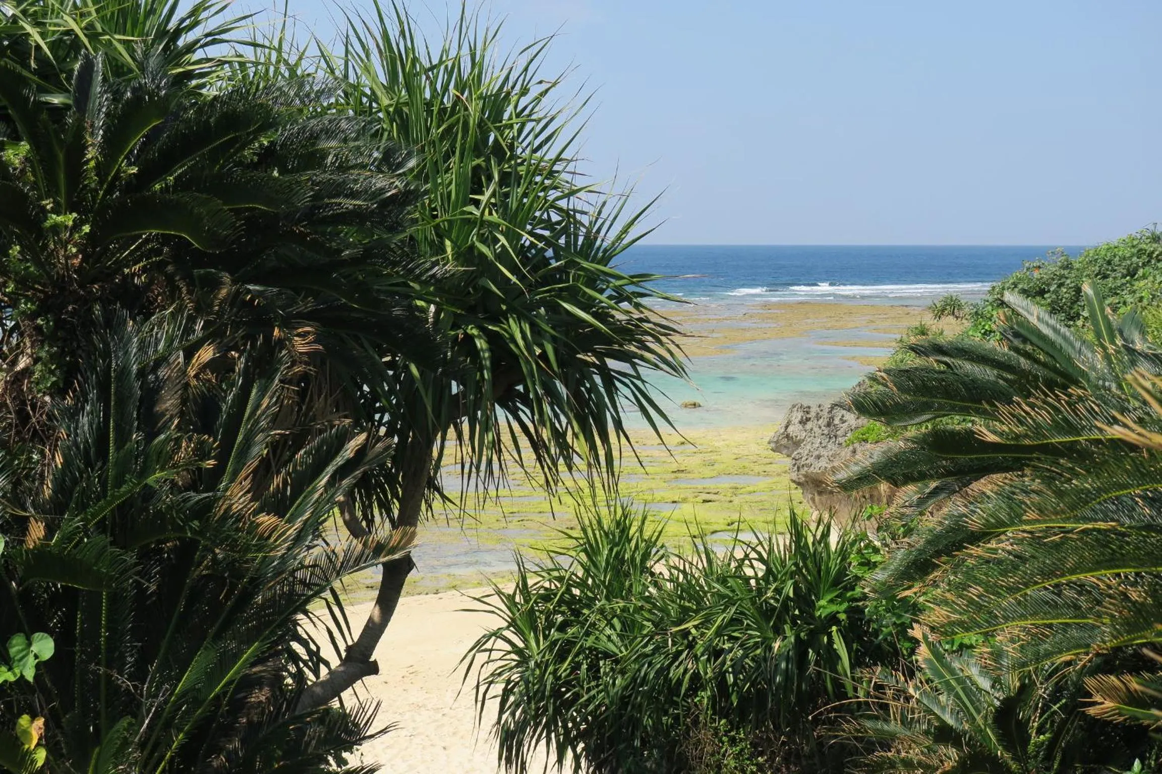 Other in Roconia Terrace