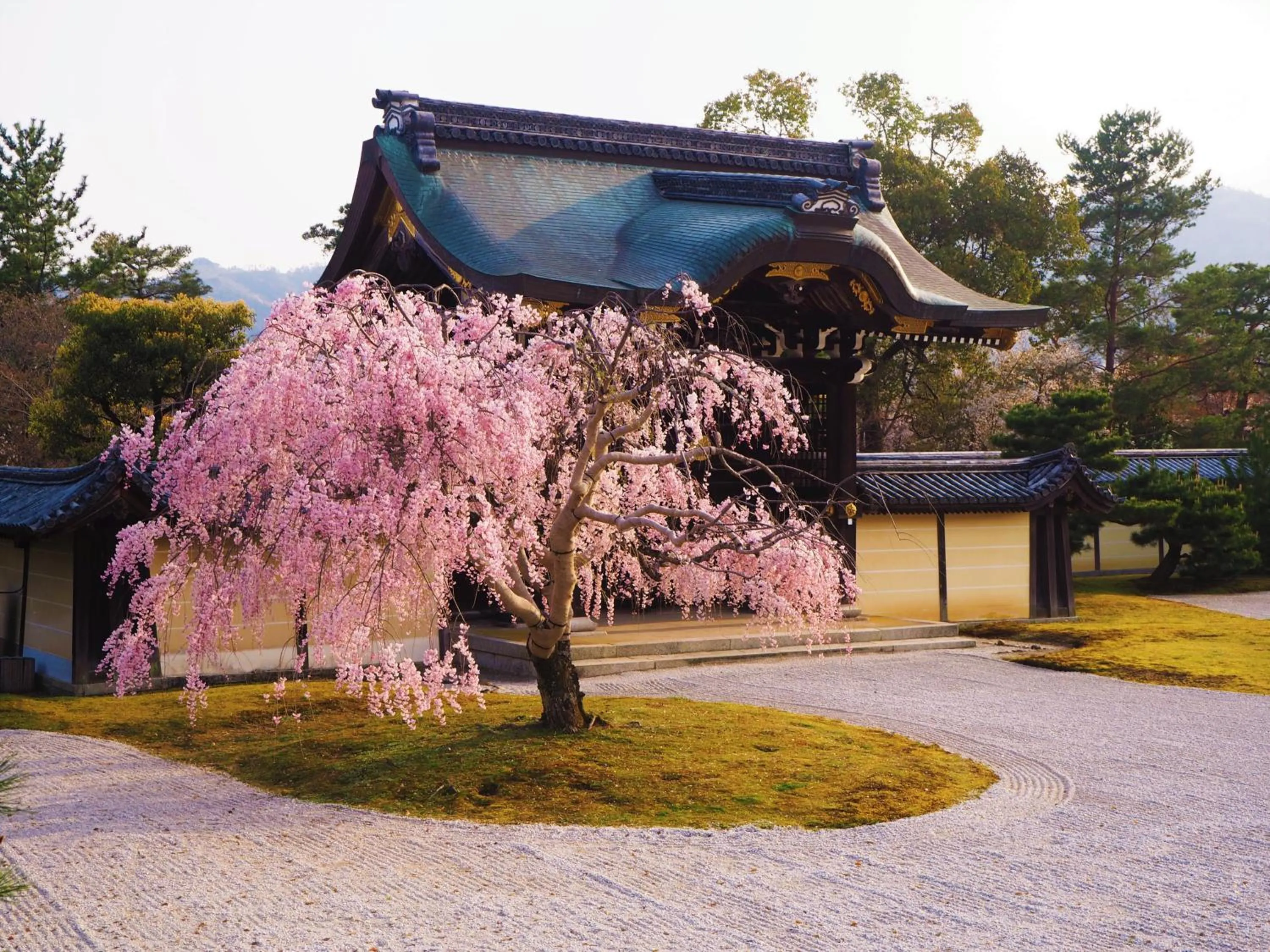 Nearby landmark in Muni Kyoto
