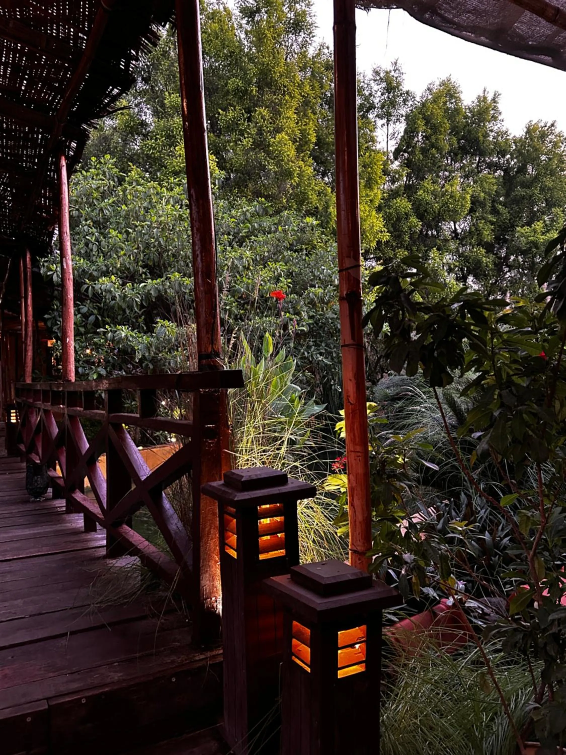 Garden in Shambhala