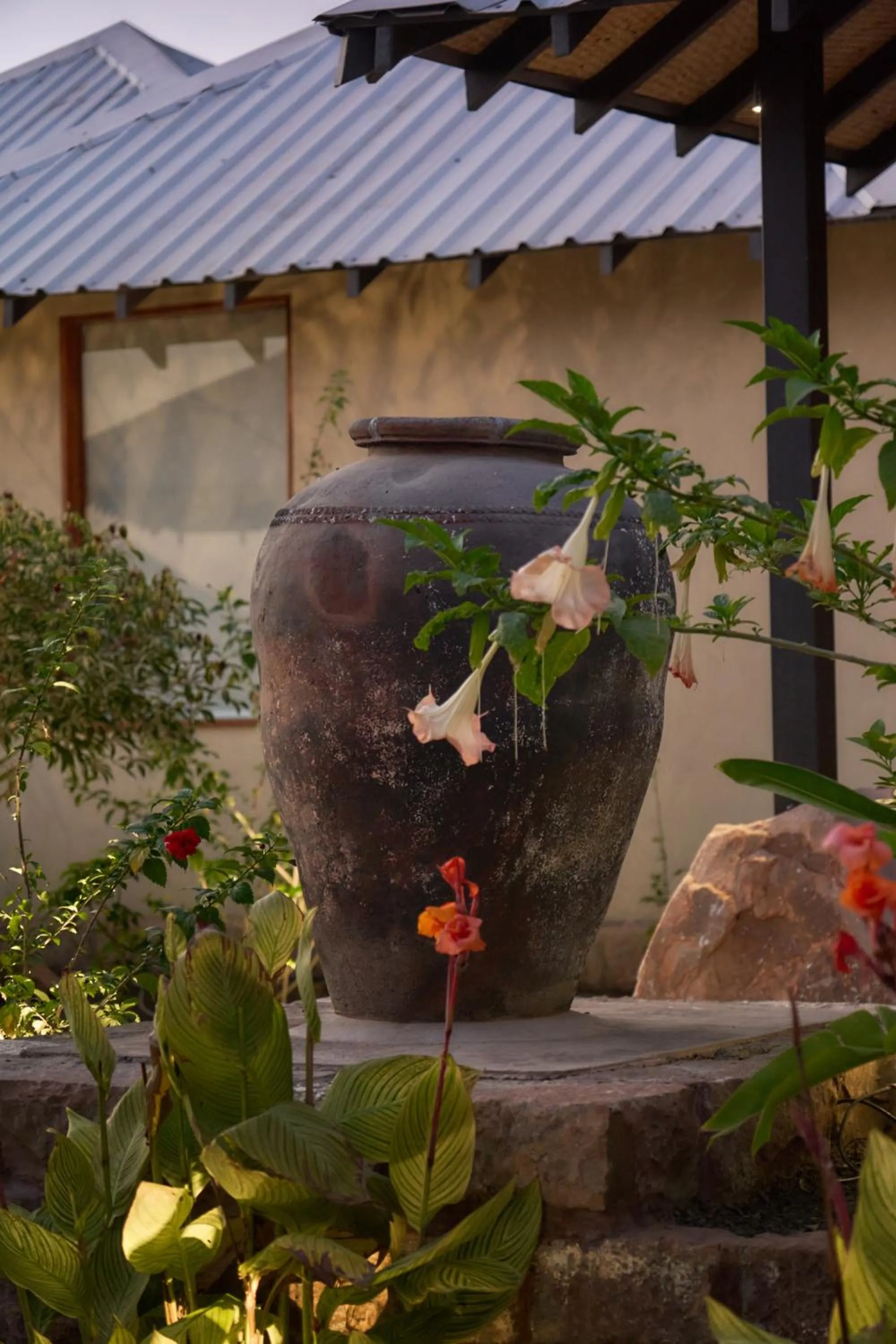 Patio in Shambhala