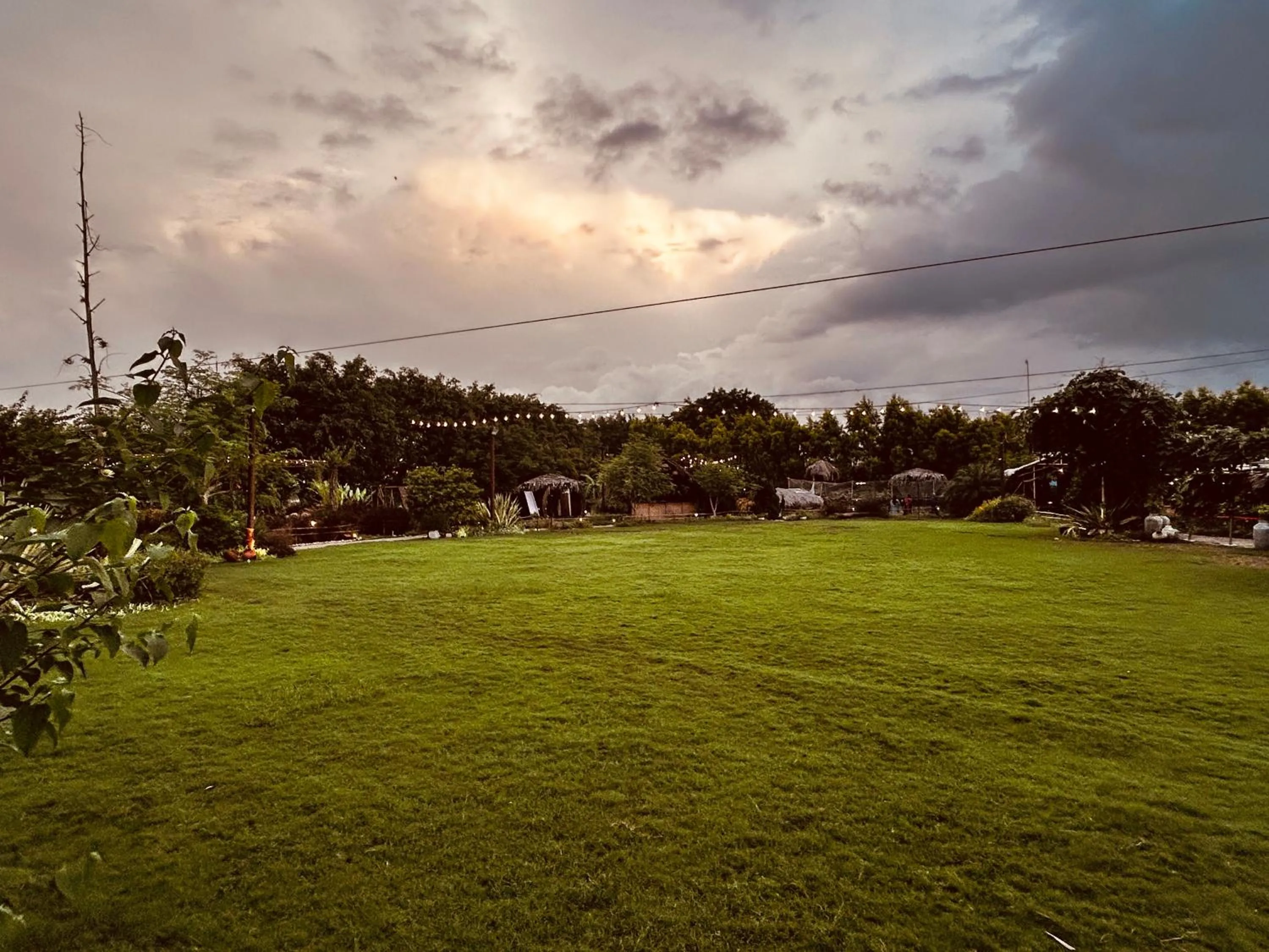 Garden in Shambhala