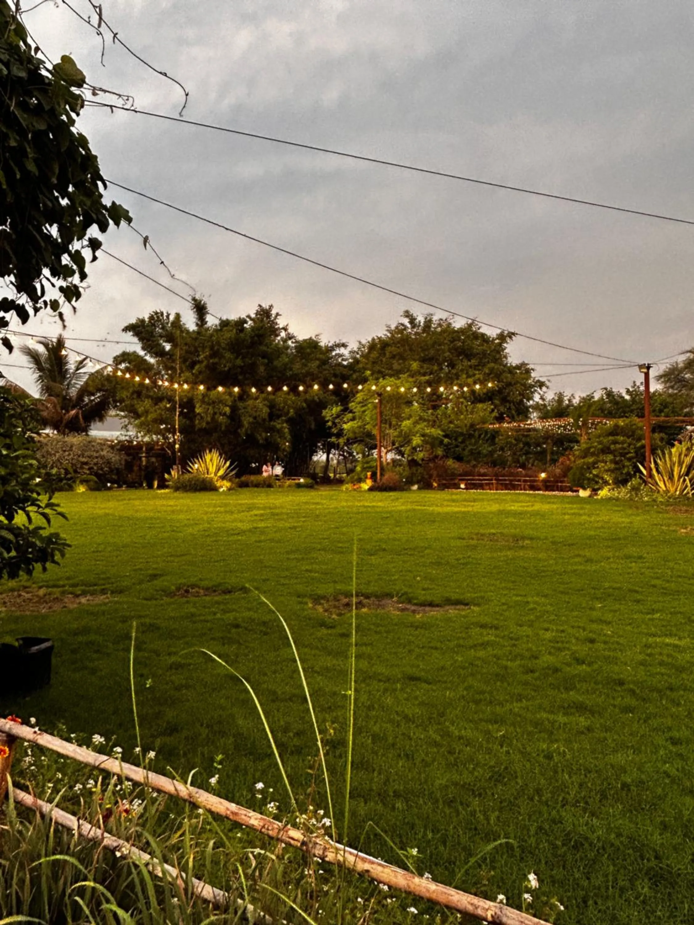 Garden in Shambhala