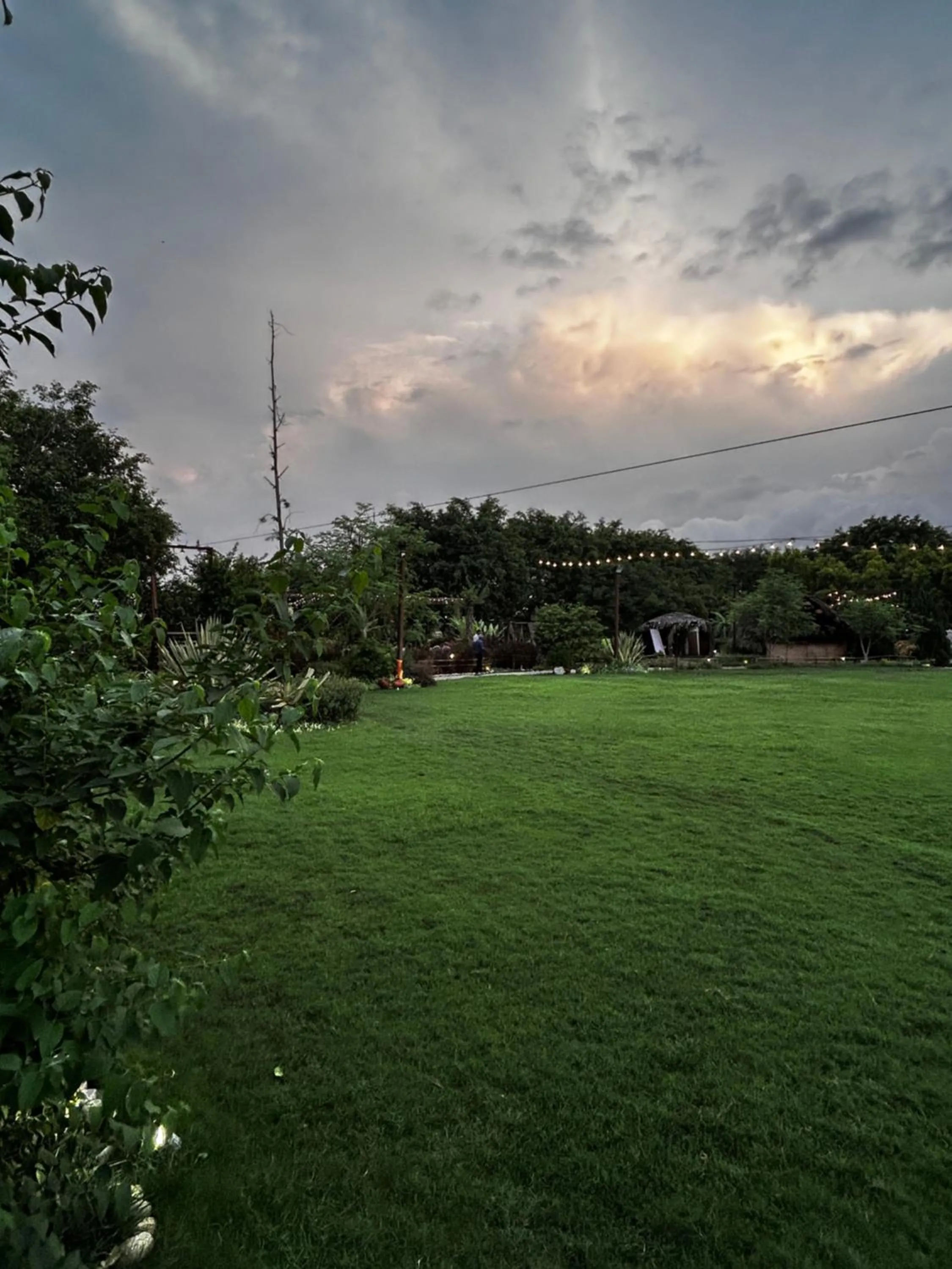 Garden in Shambhala