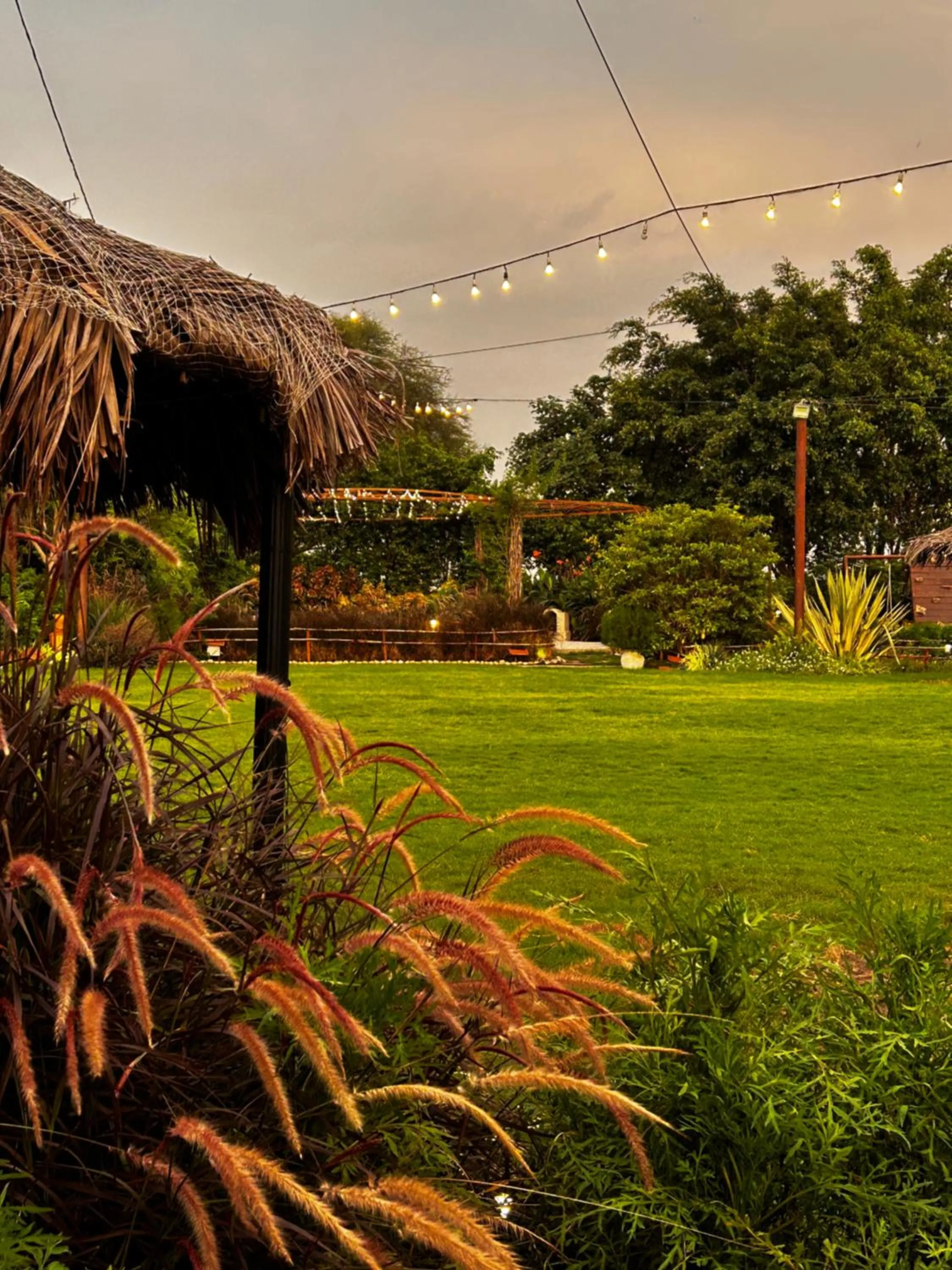 Garden in Shambhala