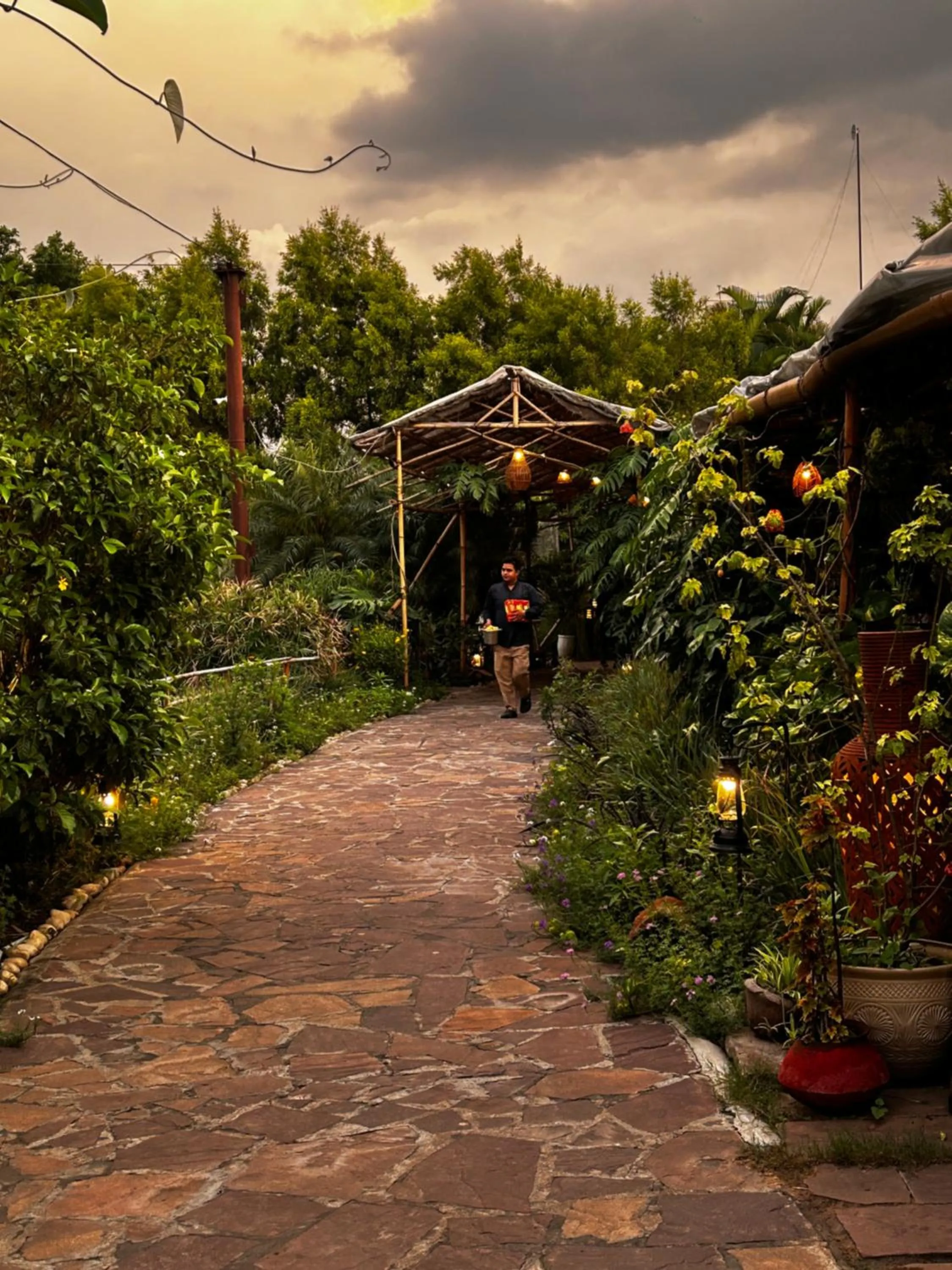 Garden in Shambhala