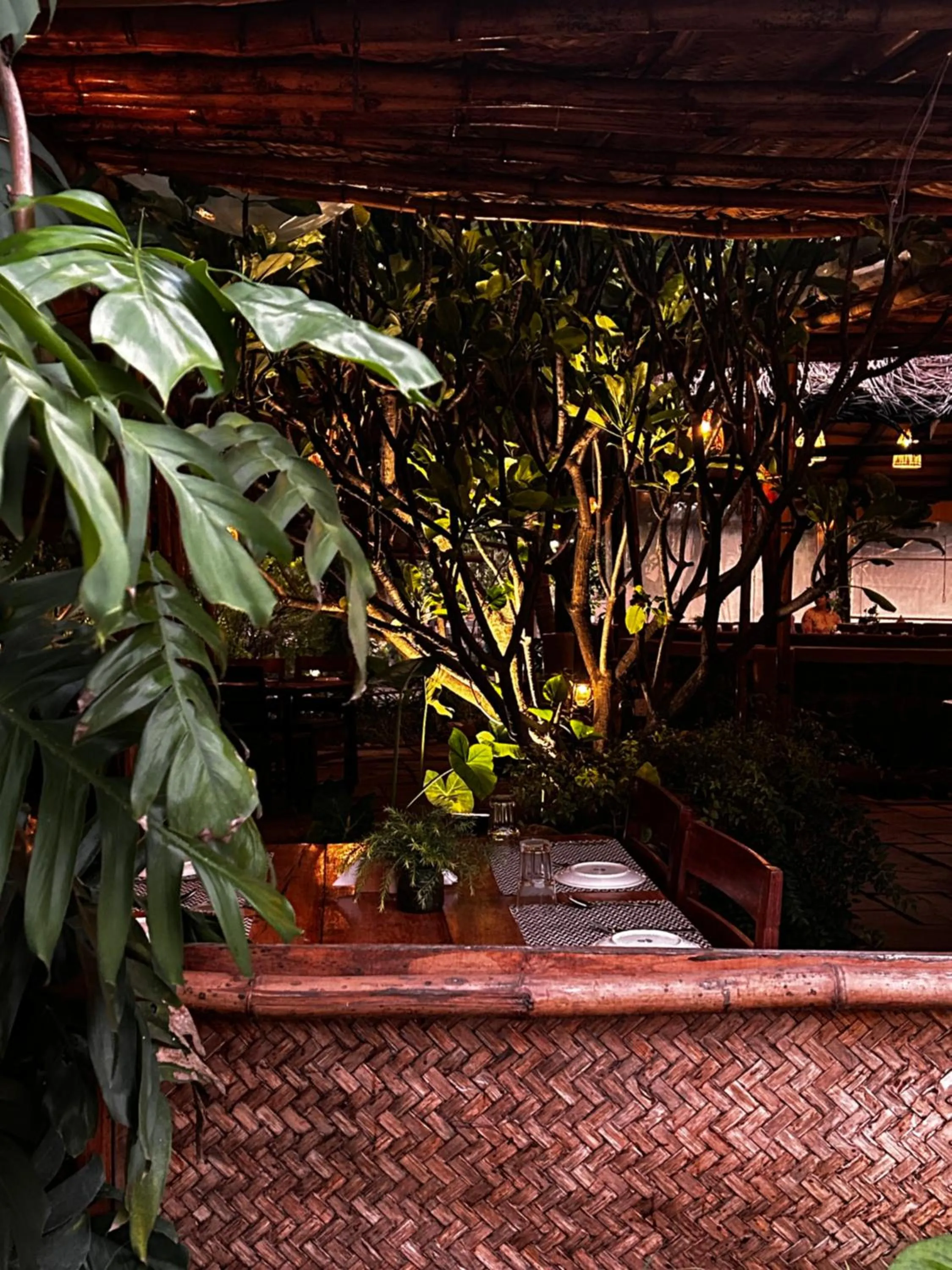 Garden in Shambhala