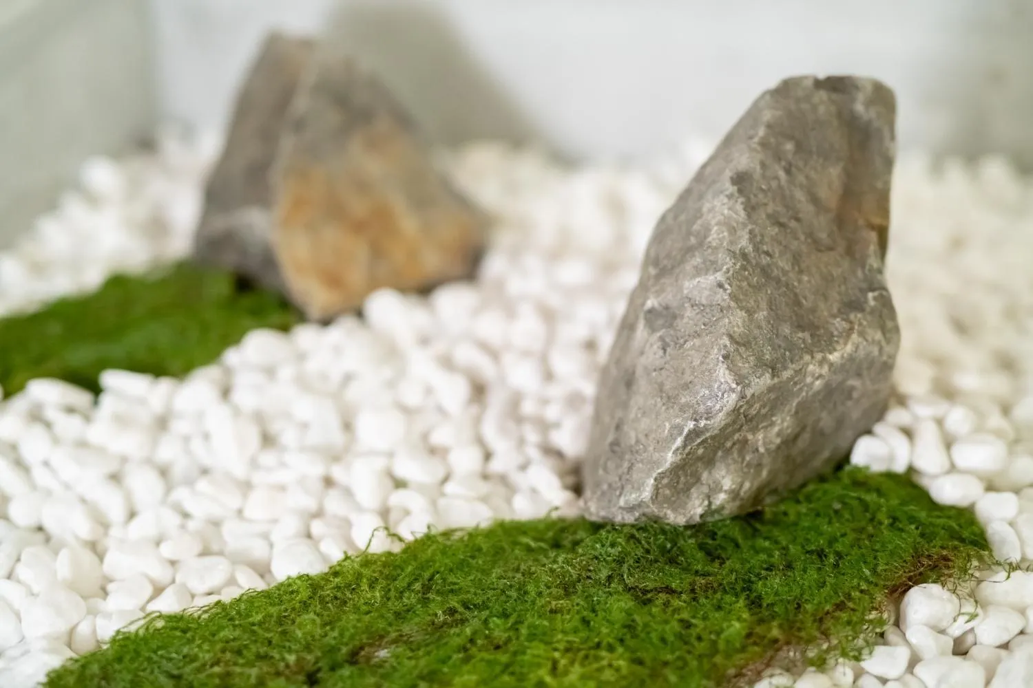 Natural landscape in REN Kitamatsunoki