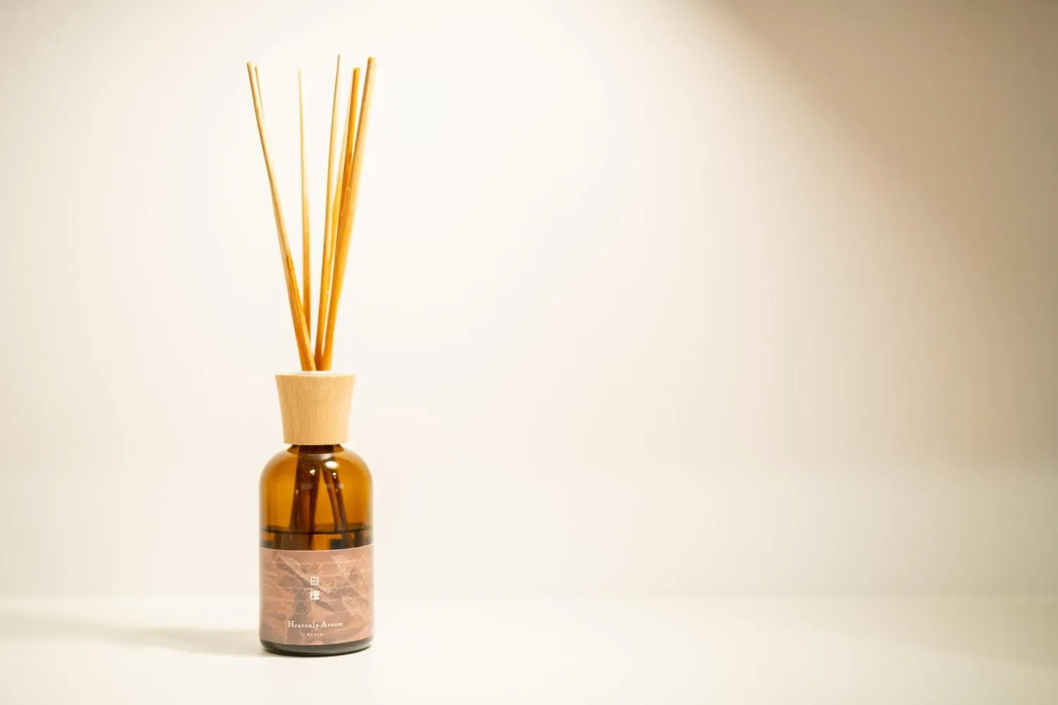 Day in REN Kitamatsunoki