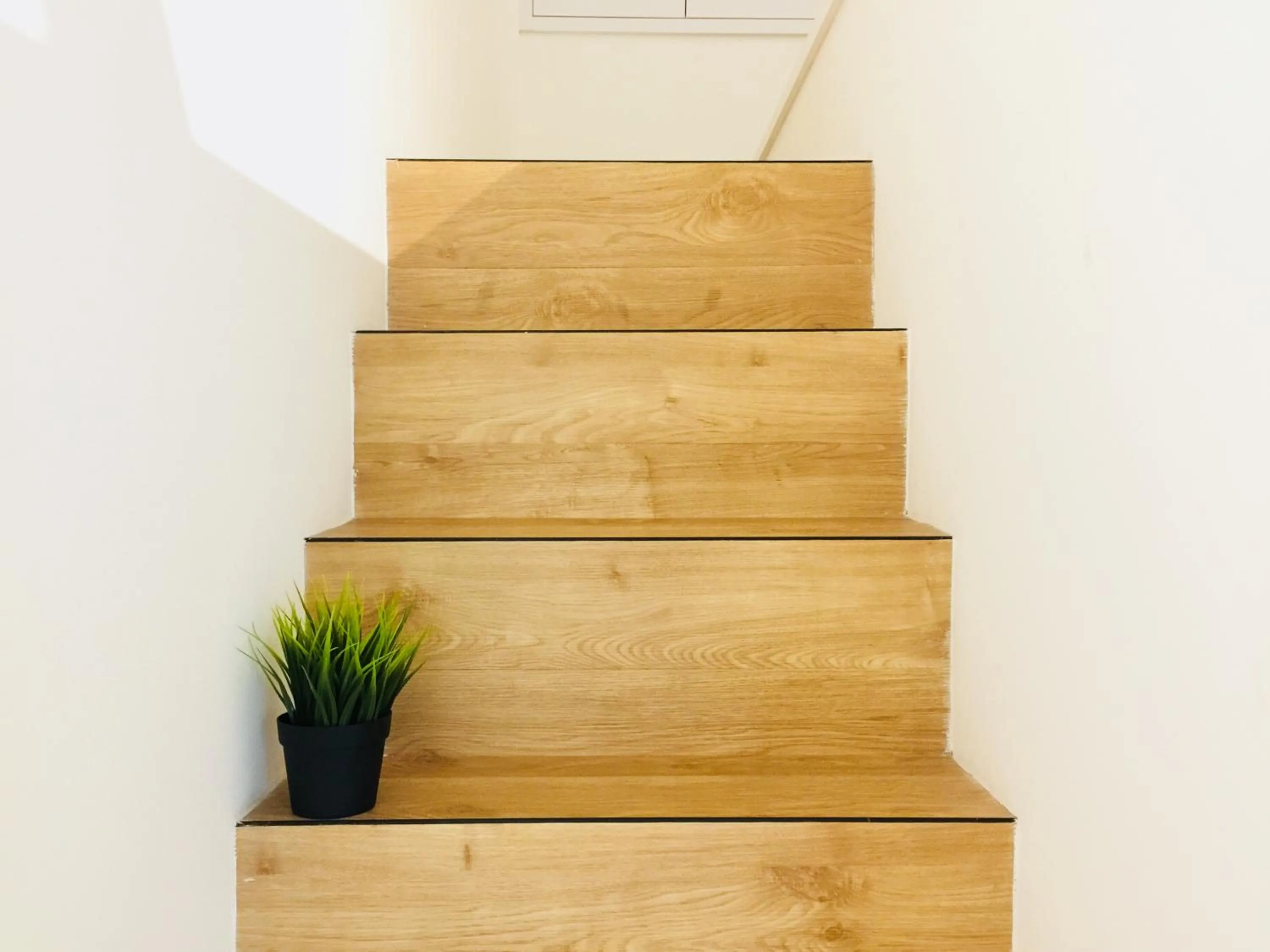 Establishment Bangsar By Sleepy Bear