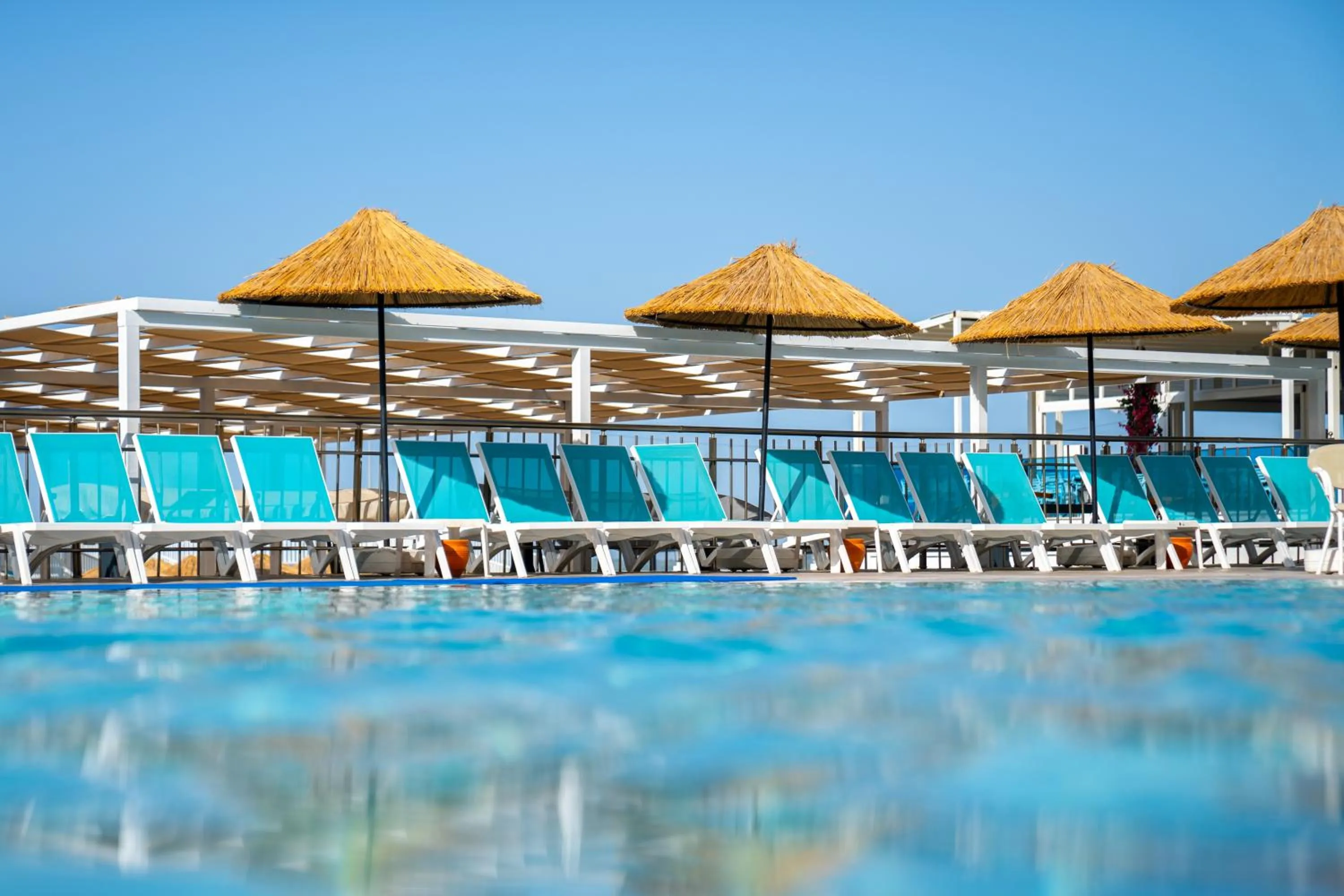 Day in Maxeria Blue Didyma