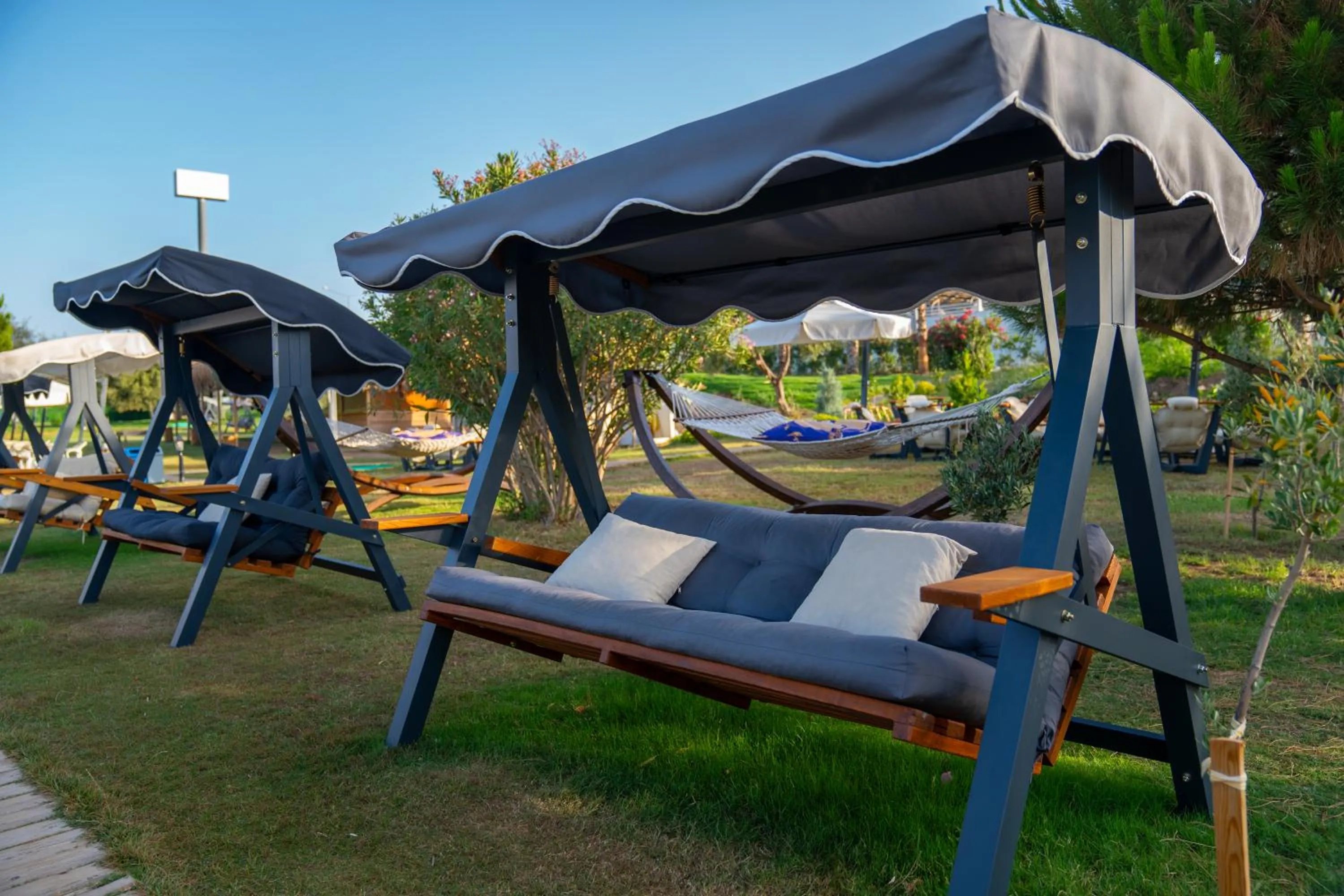 Spring in Maxeria Blue Didyma