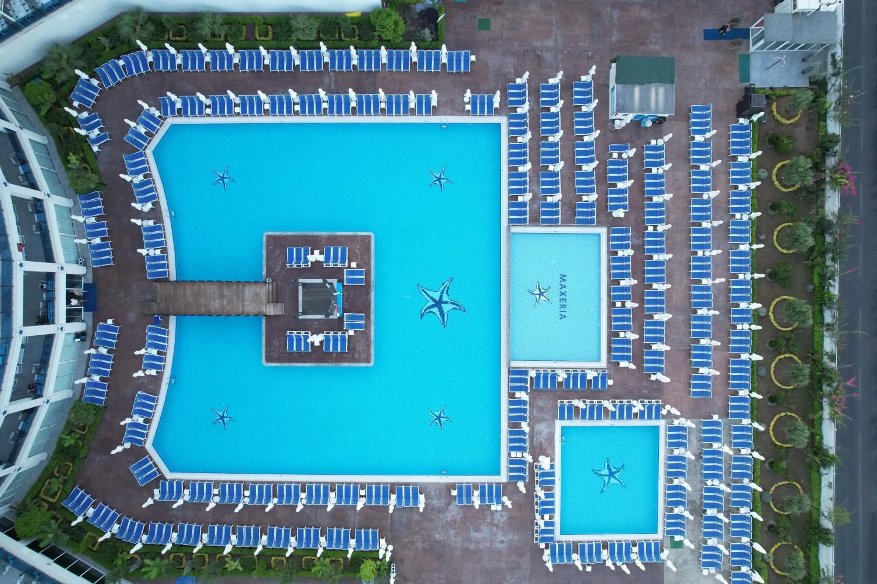 Day in Maxeria Blue Didyma