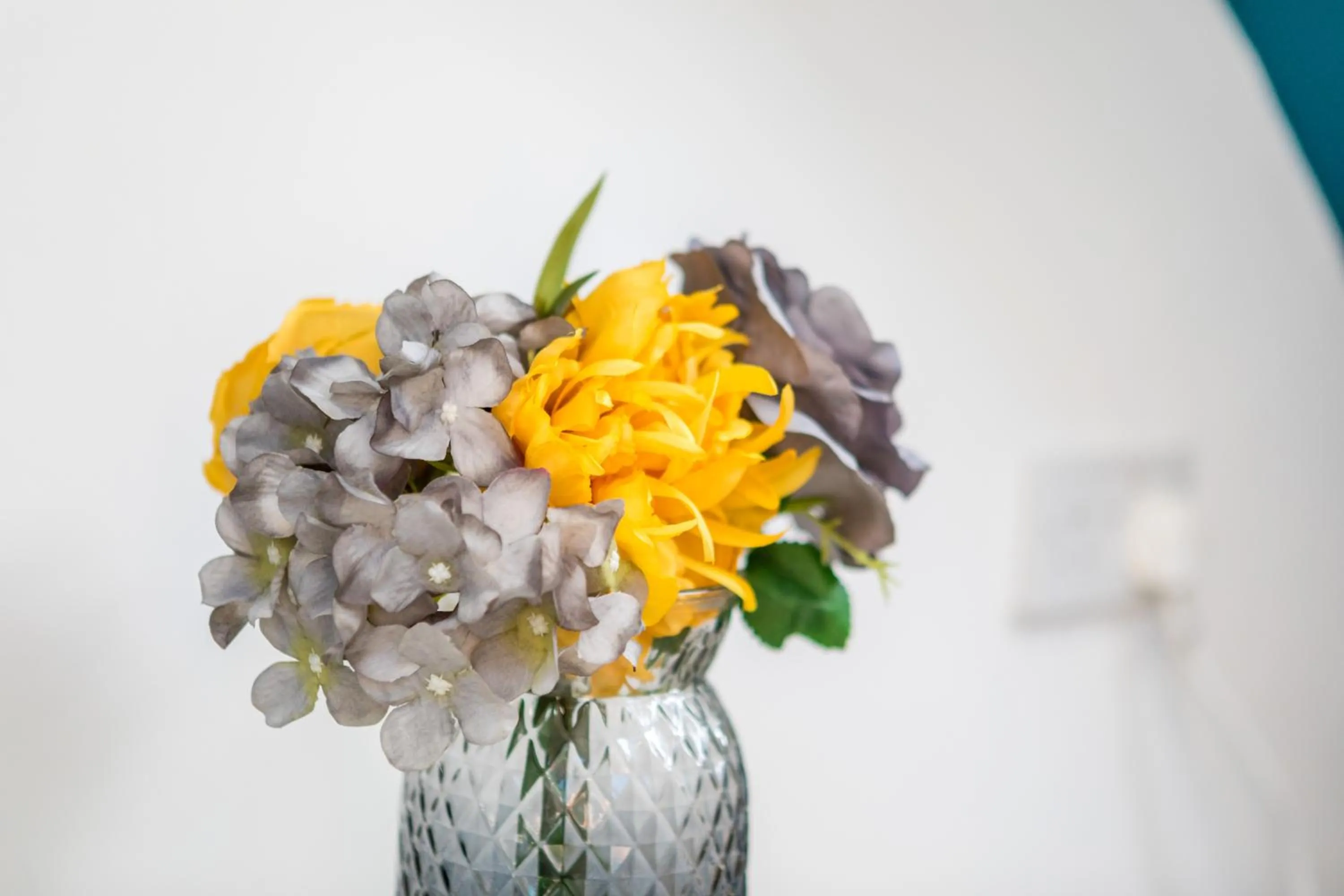 The Hollywood - Beautiful 3 Bedroom House