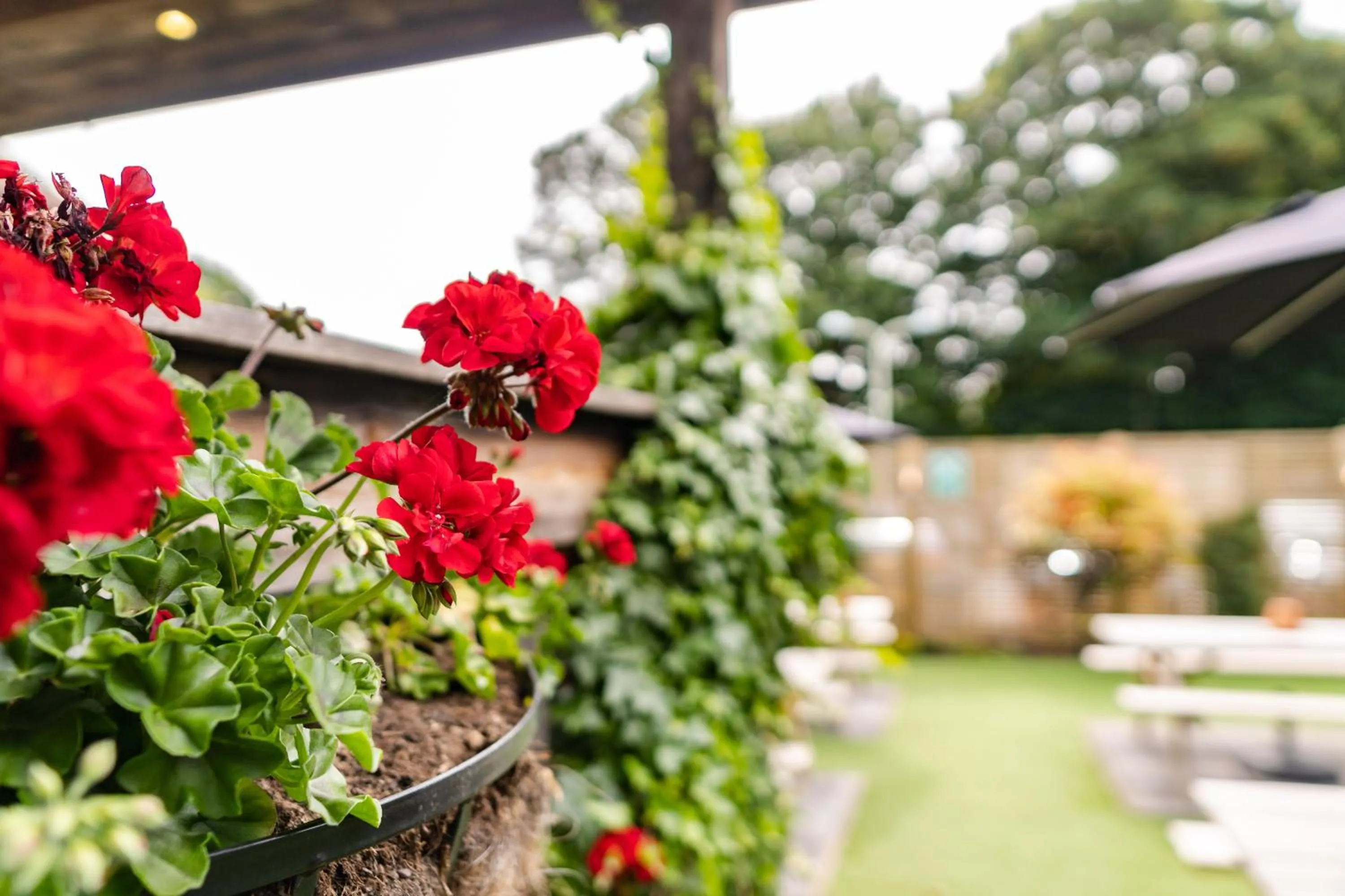 Garden in The Farm House