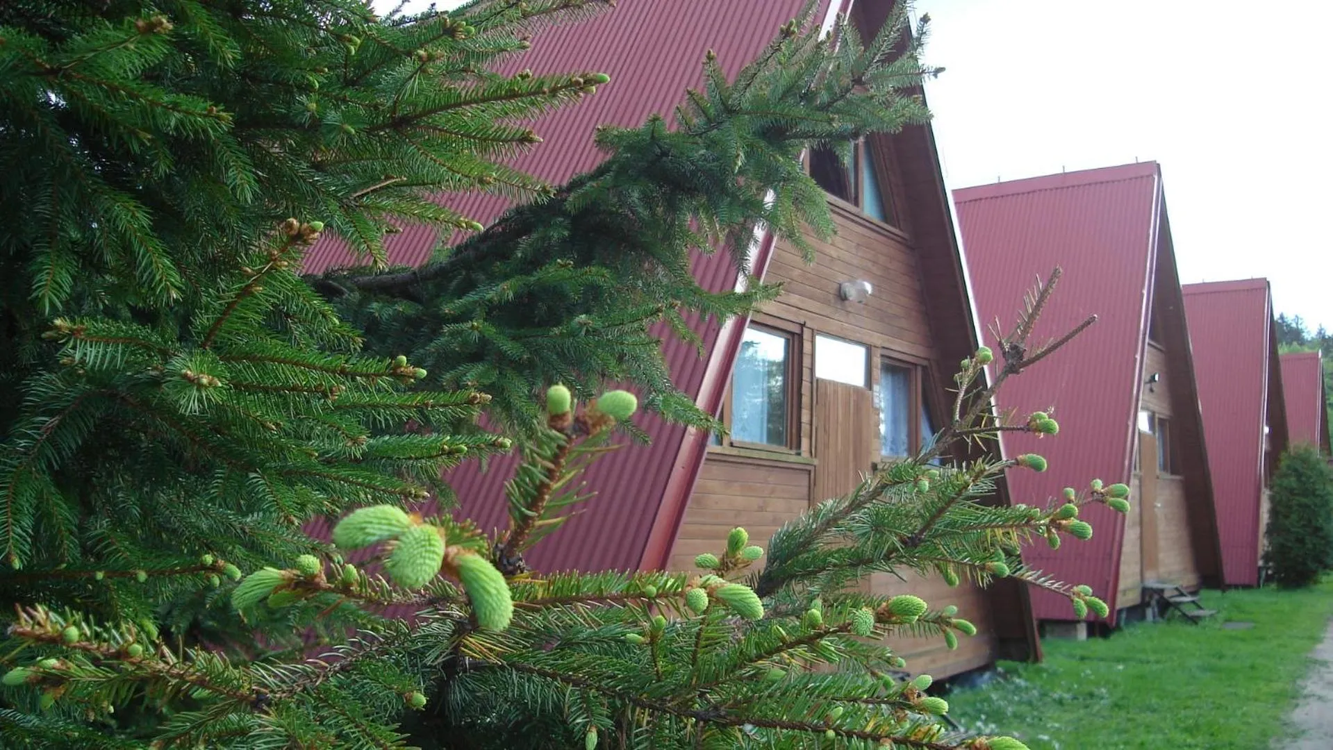 Property building in Pod Starym Groniem