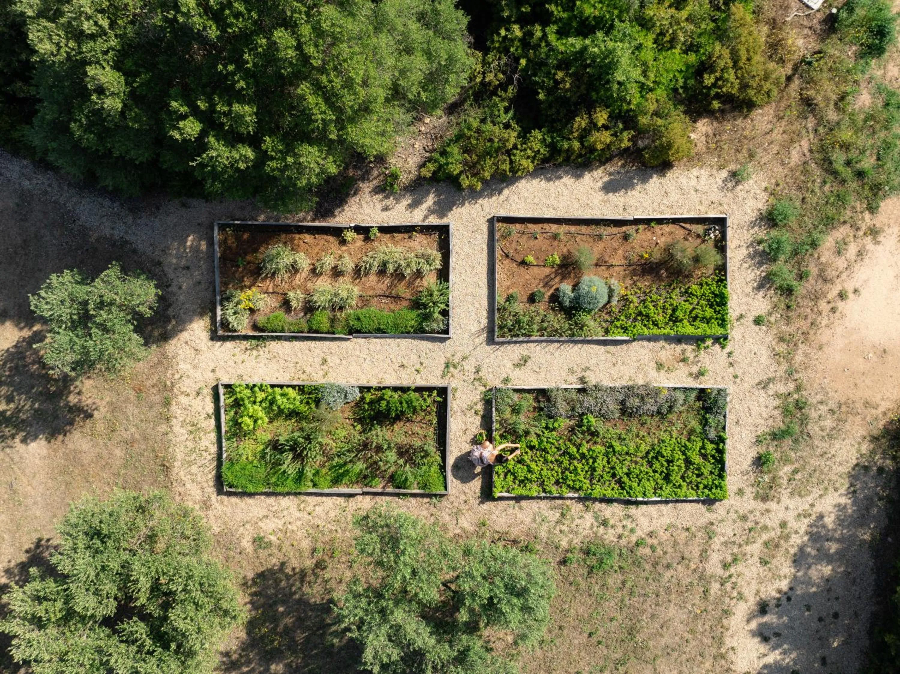 Natural landscape in Cascioni Eco Retreat
