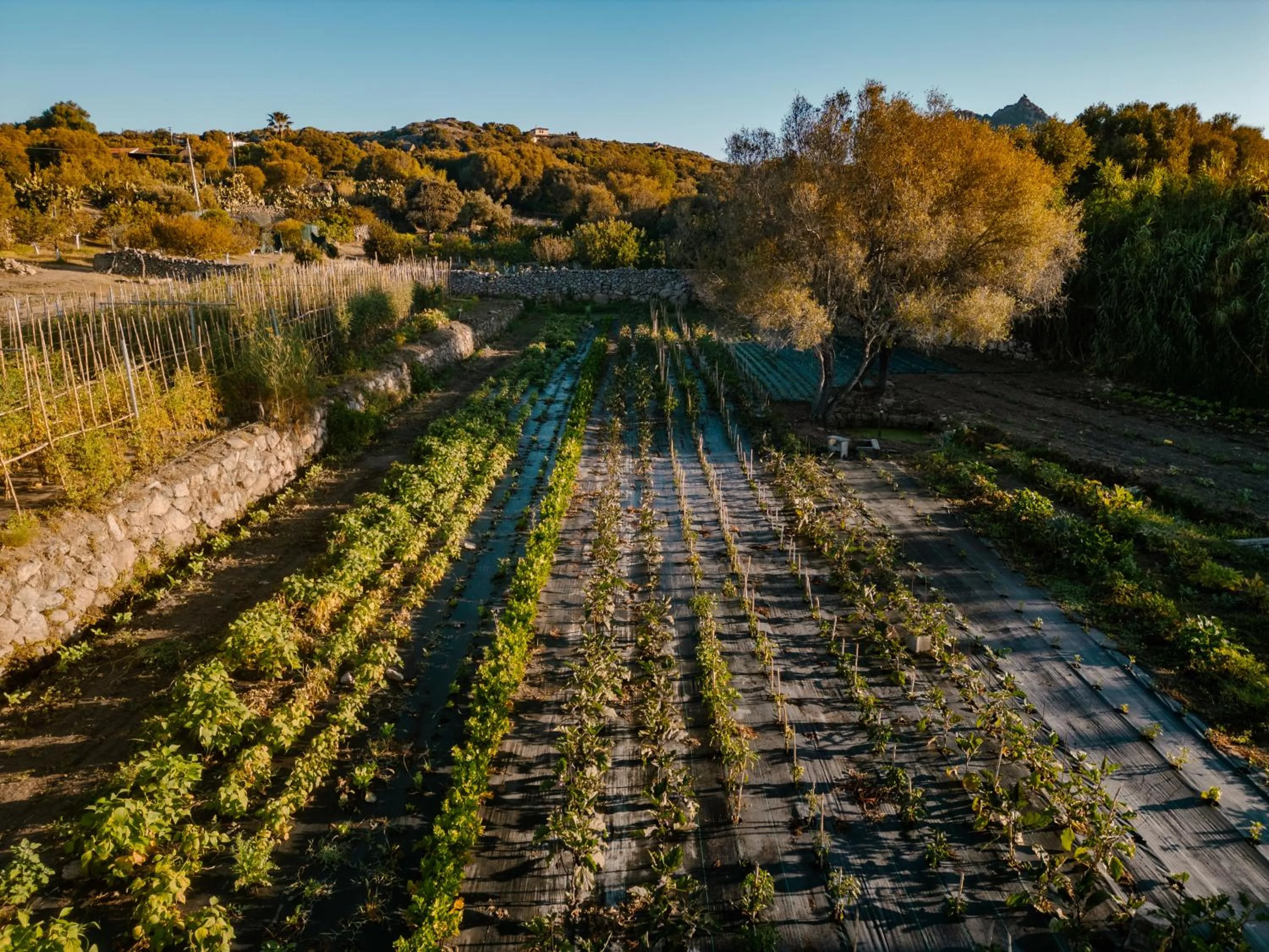 Natural landscape in Cascioni Eco Retreat